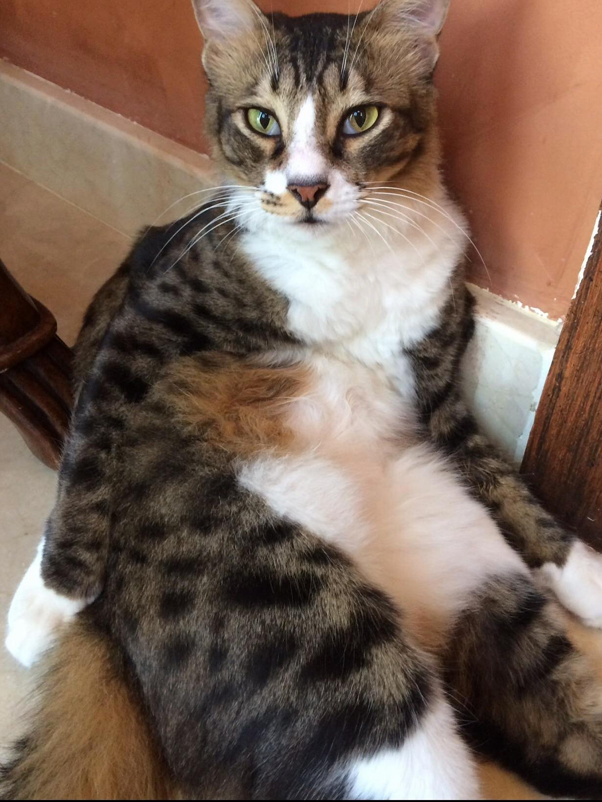 I Love How She Sits