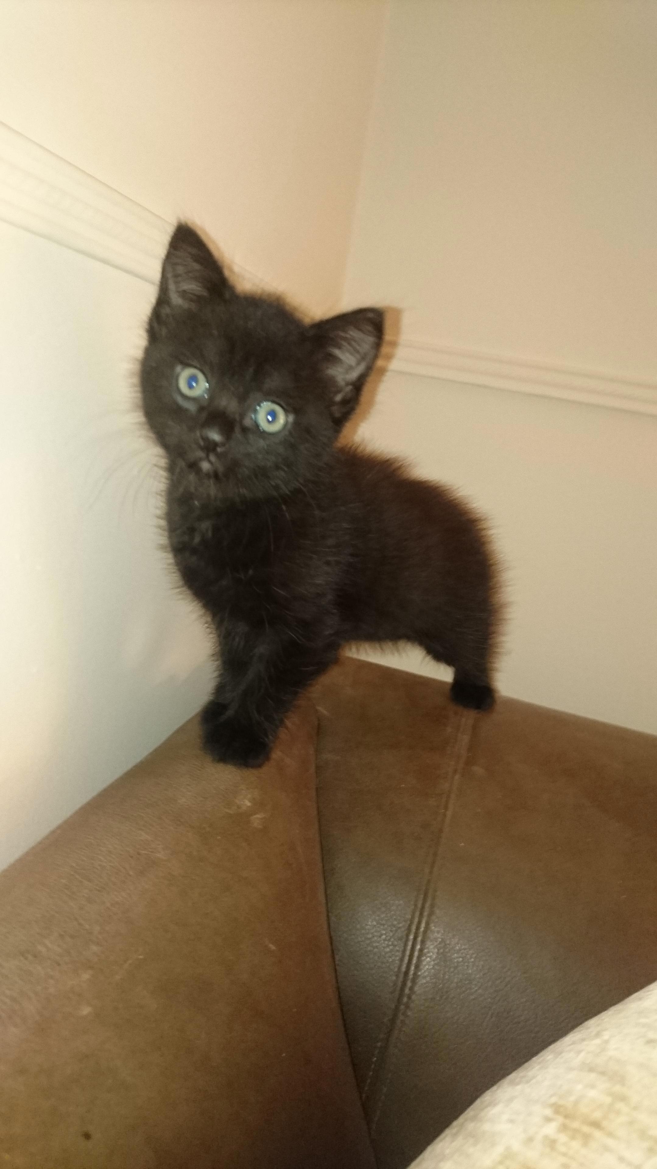 I Shall Name Him....vader.