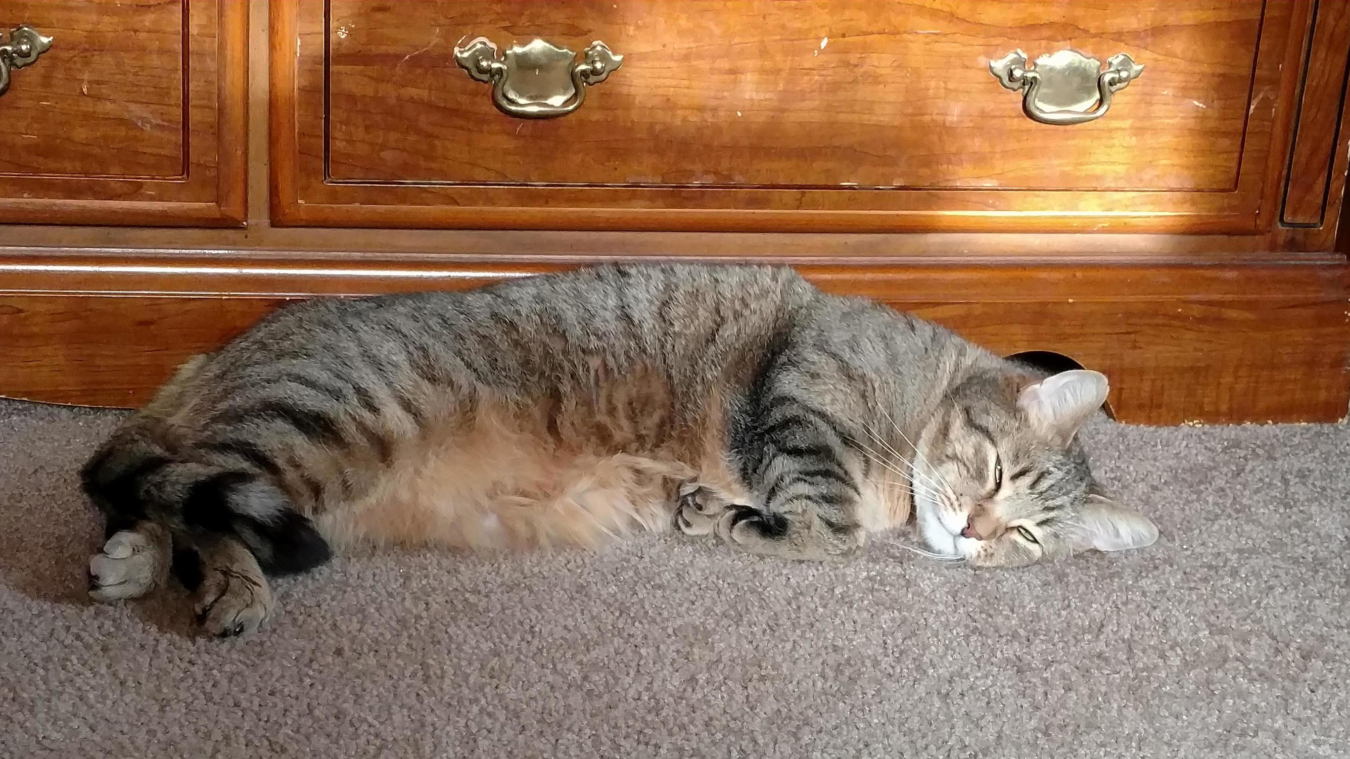 I Sometimes Envy Him