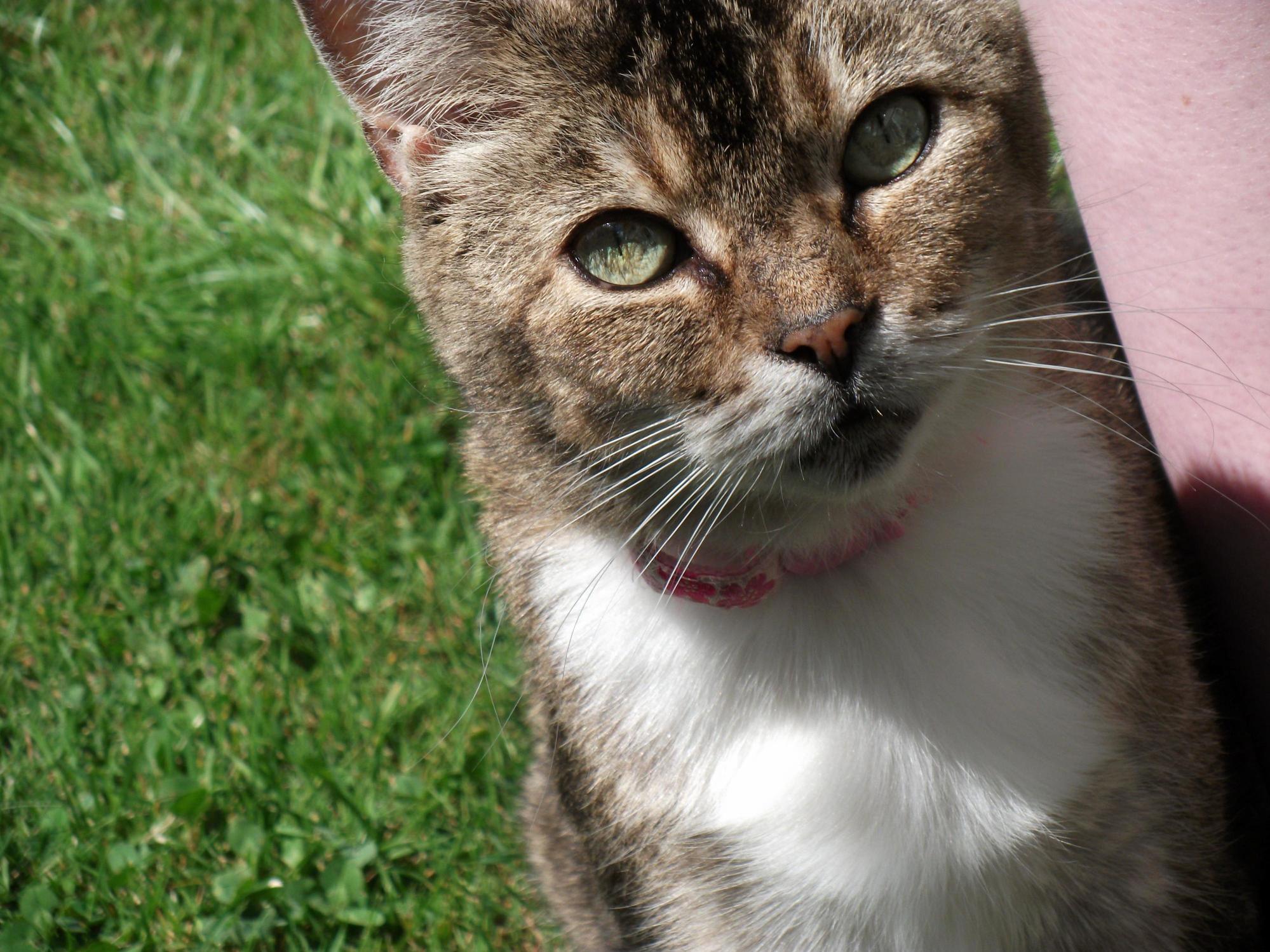 I Still Miss My Little Girl. Its Been Just Over 4 Years Already