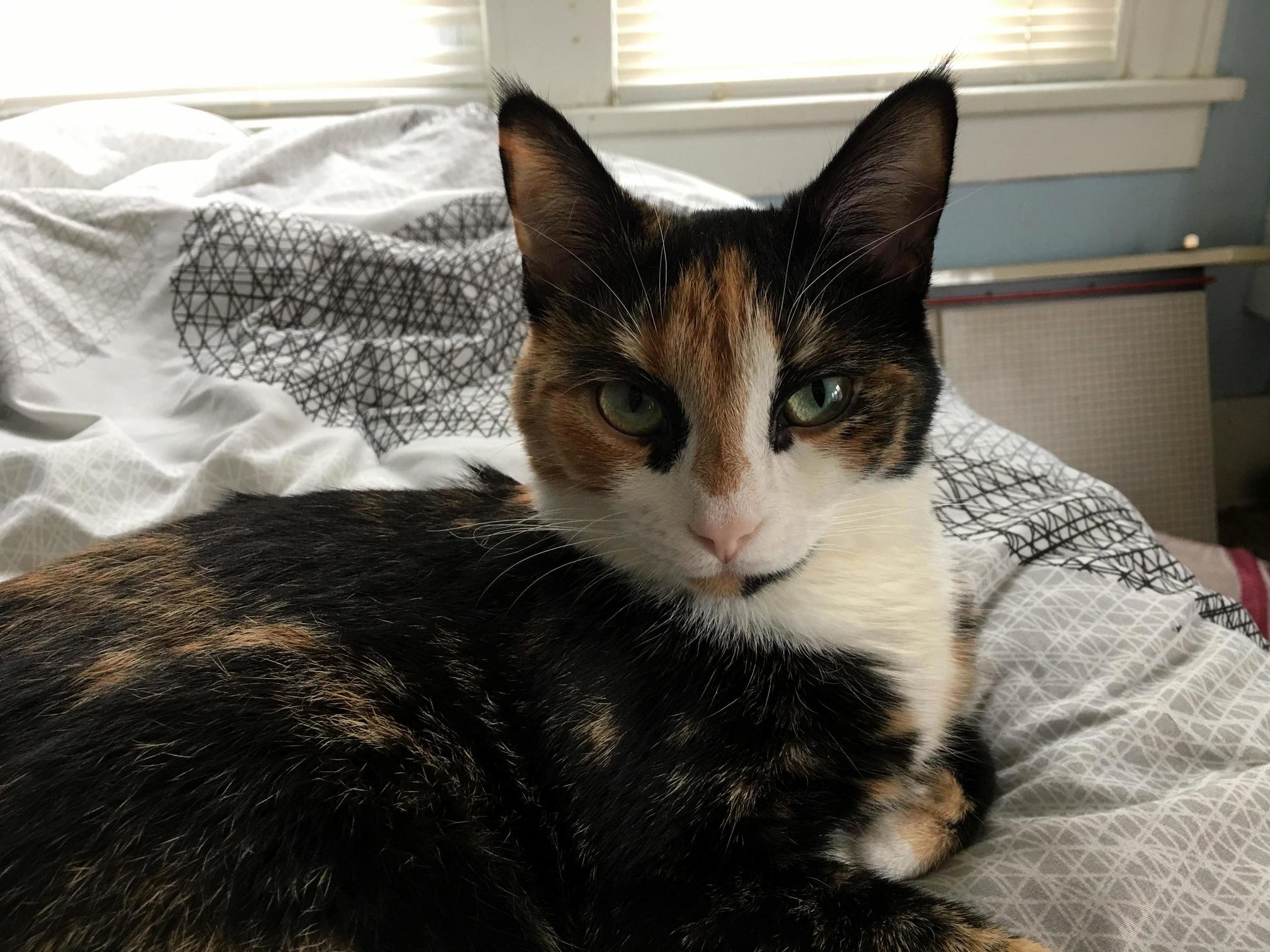 I Woke Her Up from Her Nap.
