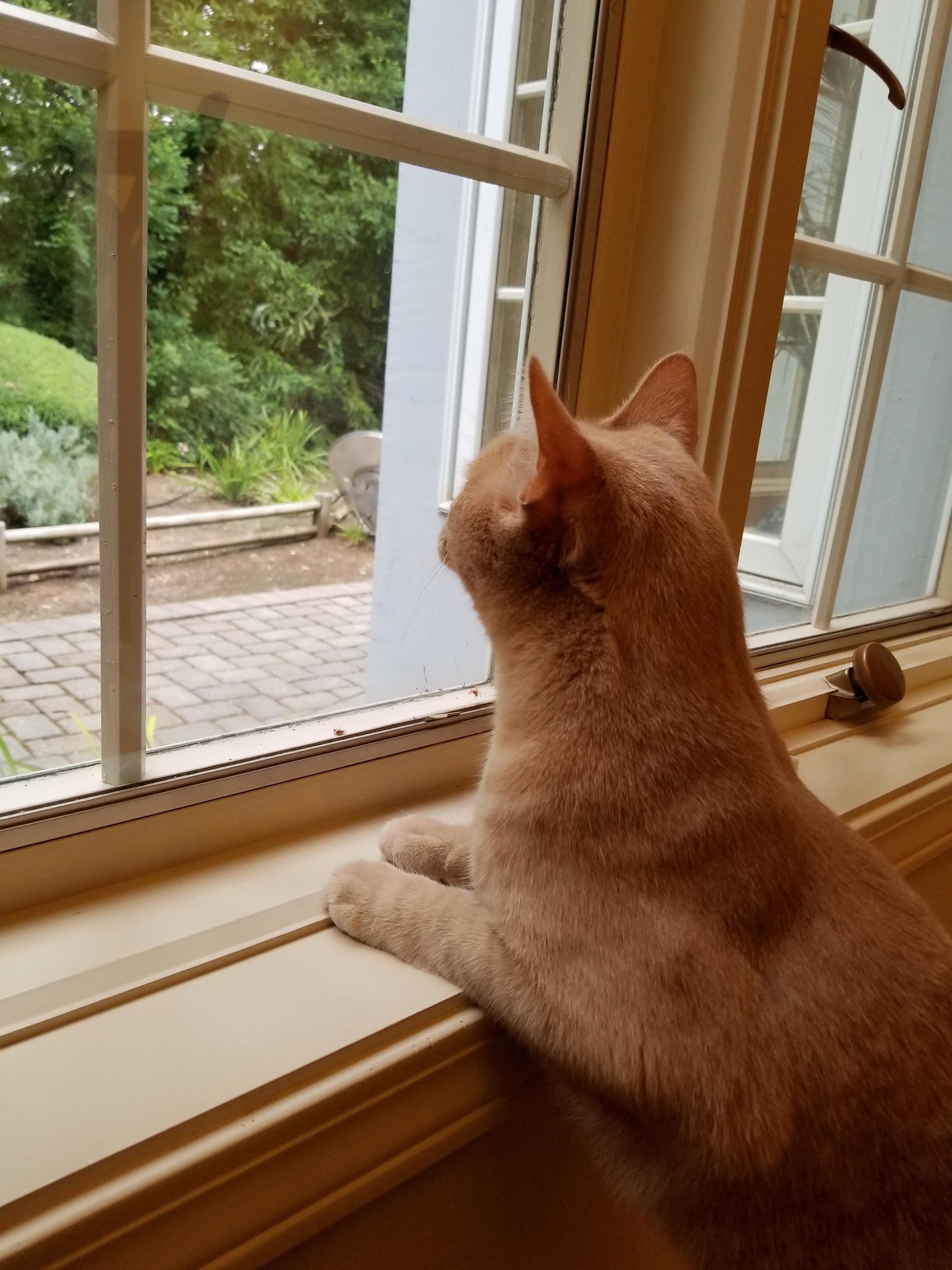 I Wonder Whats Out There