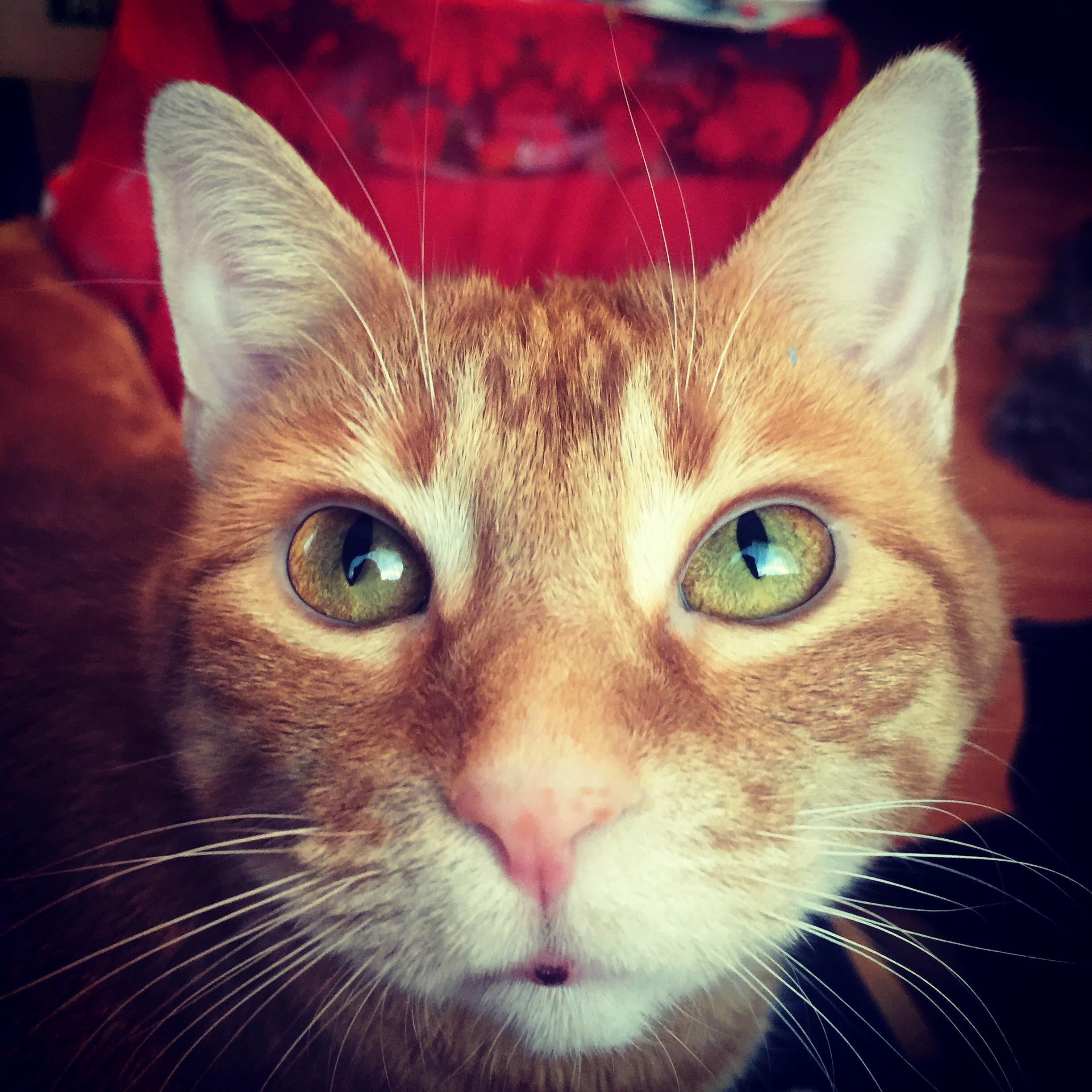 Im Ready for My Close Up