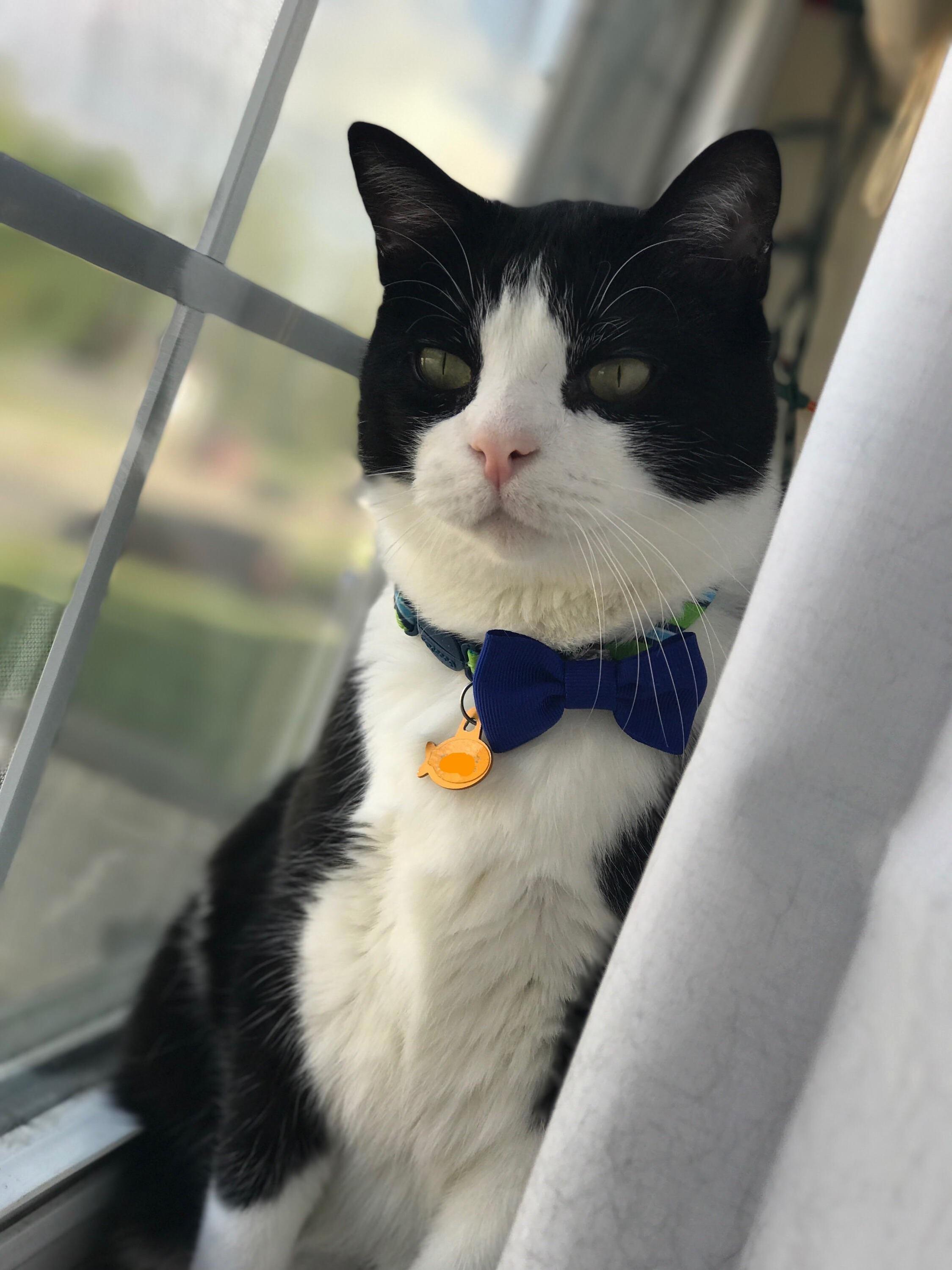 Its This Handsome Guys 6th Birthday Today