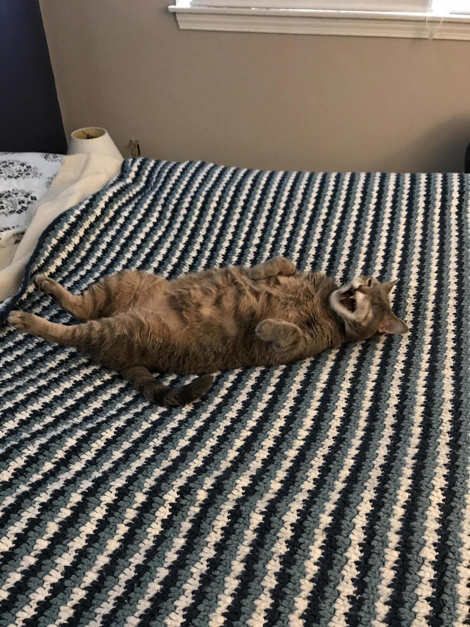 Jack Is Such a Goof.