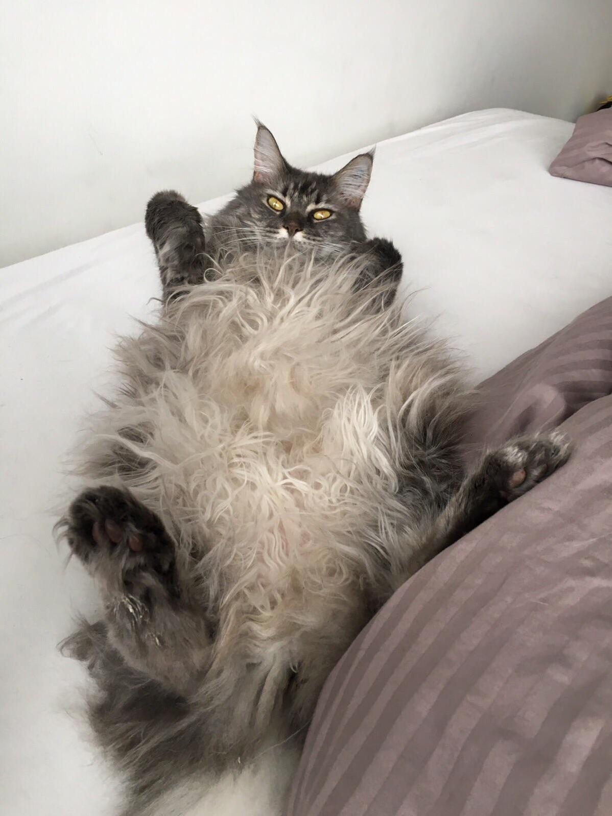 Just Chillin