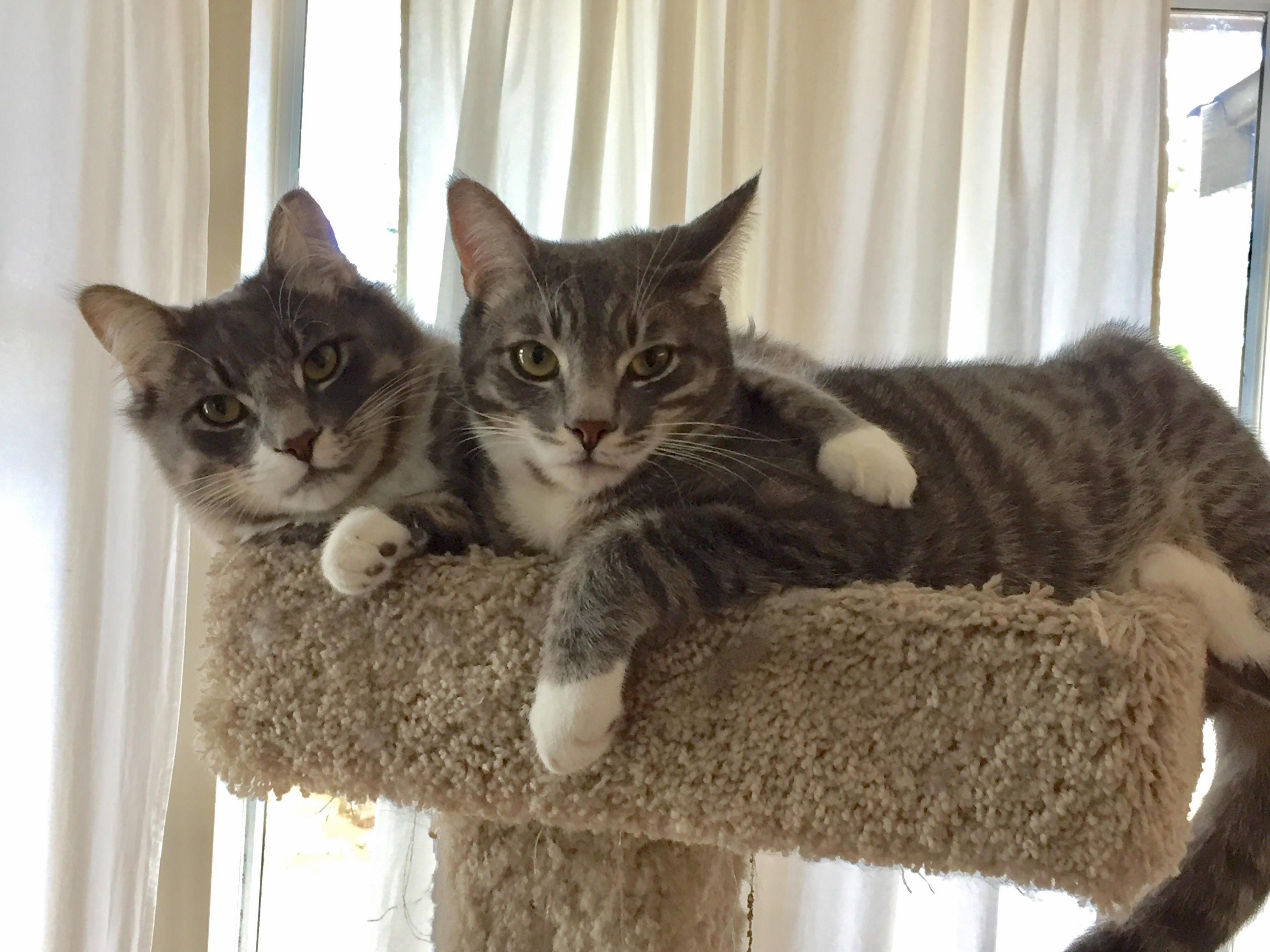 Just Hanging with My Bro