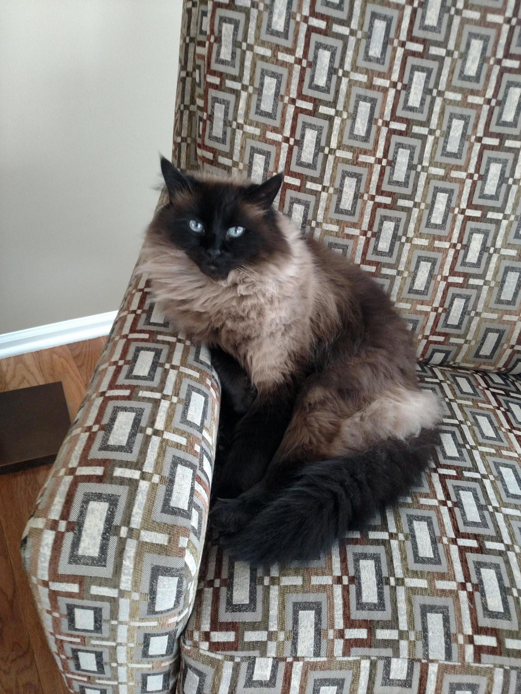 Just Let Me Know When My Snack Is Ready