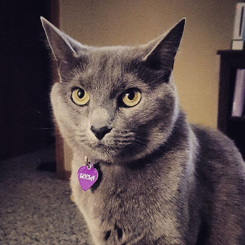 Just Lil Leela