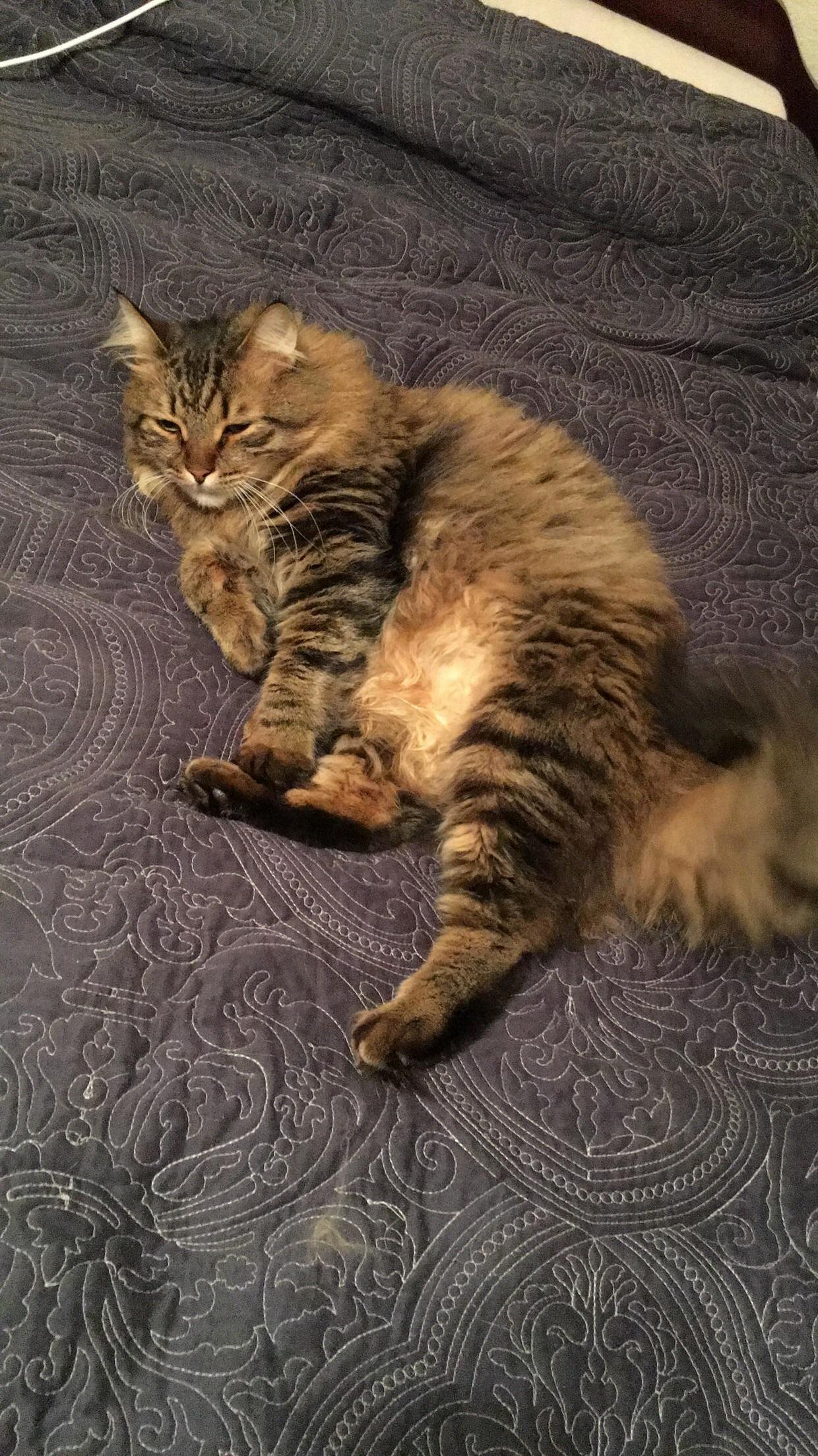 Just Lounging Around