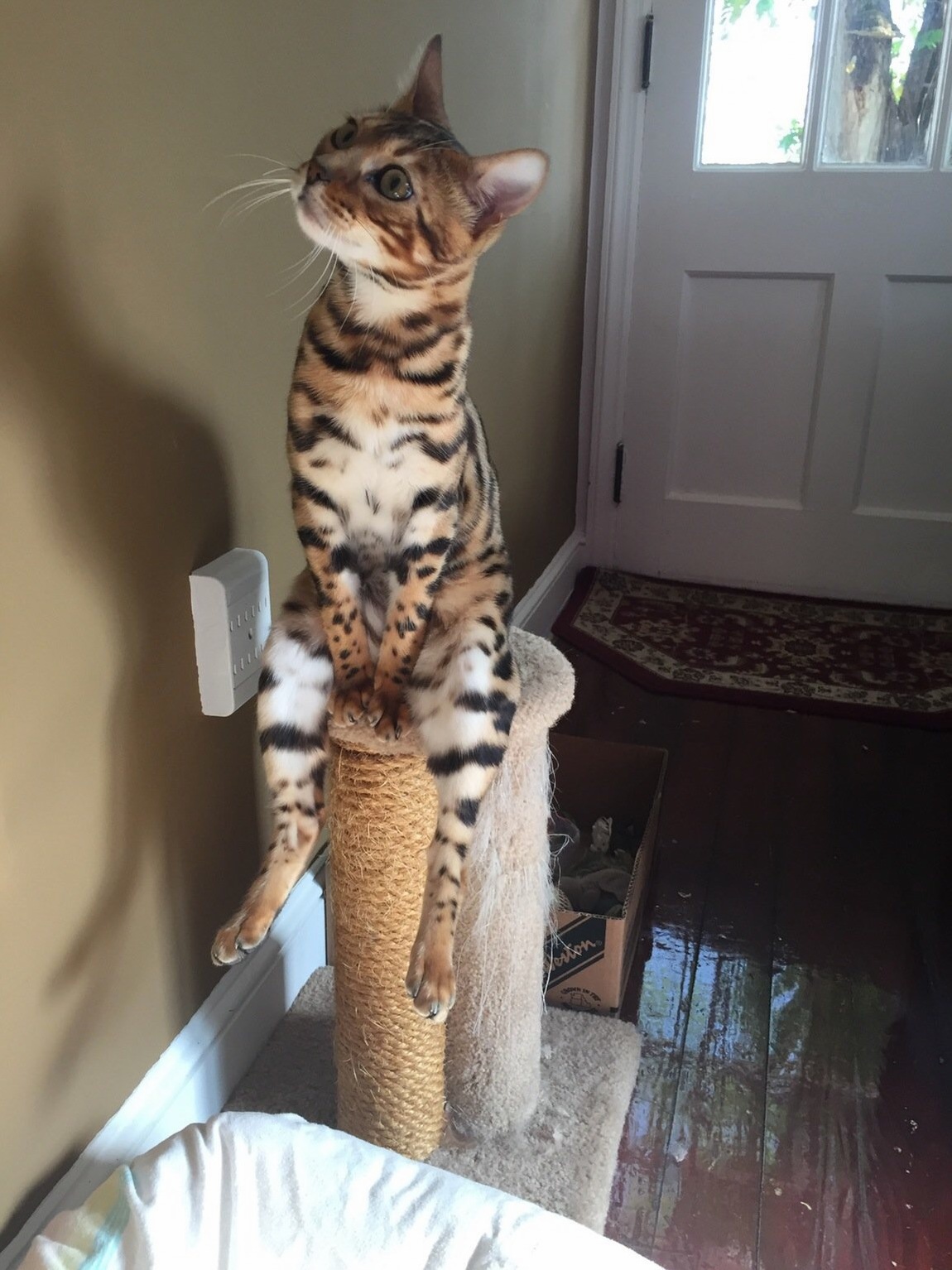 Just Sitting Reflecting About Life