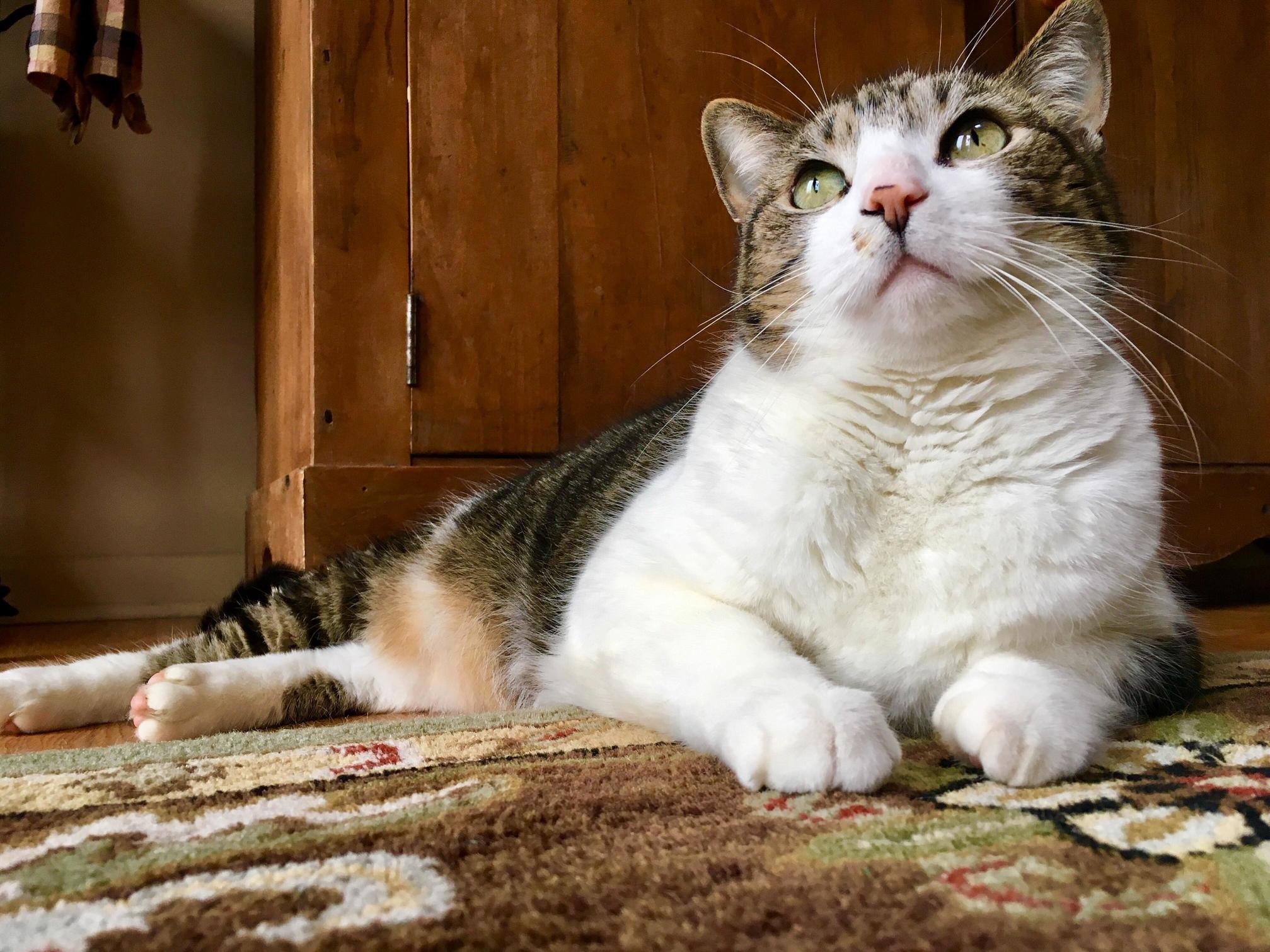 Leo Being the Show Off He Is..