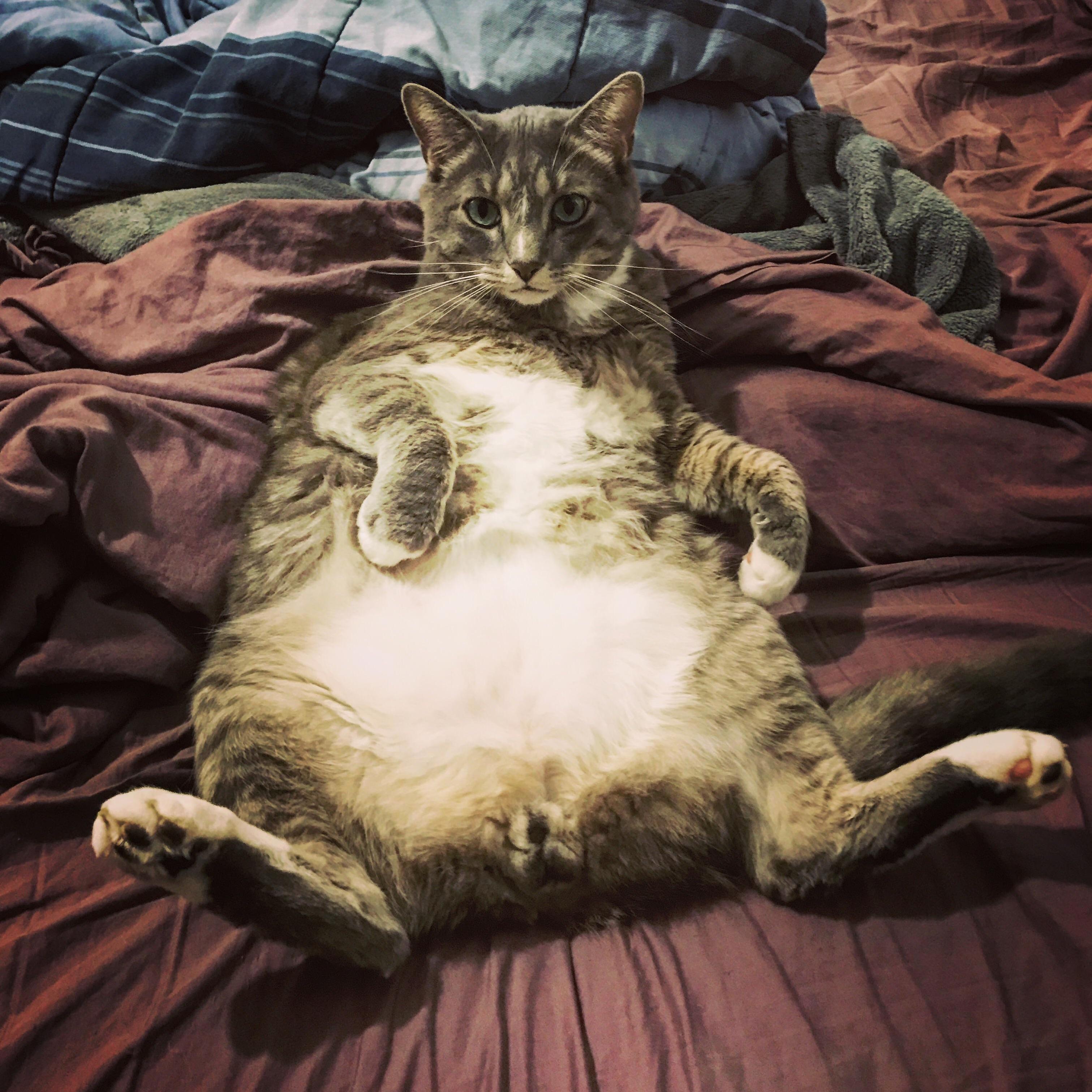 Lil Perv Sat Like That for 15 Mins