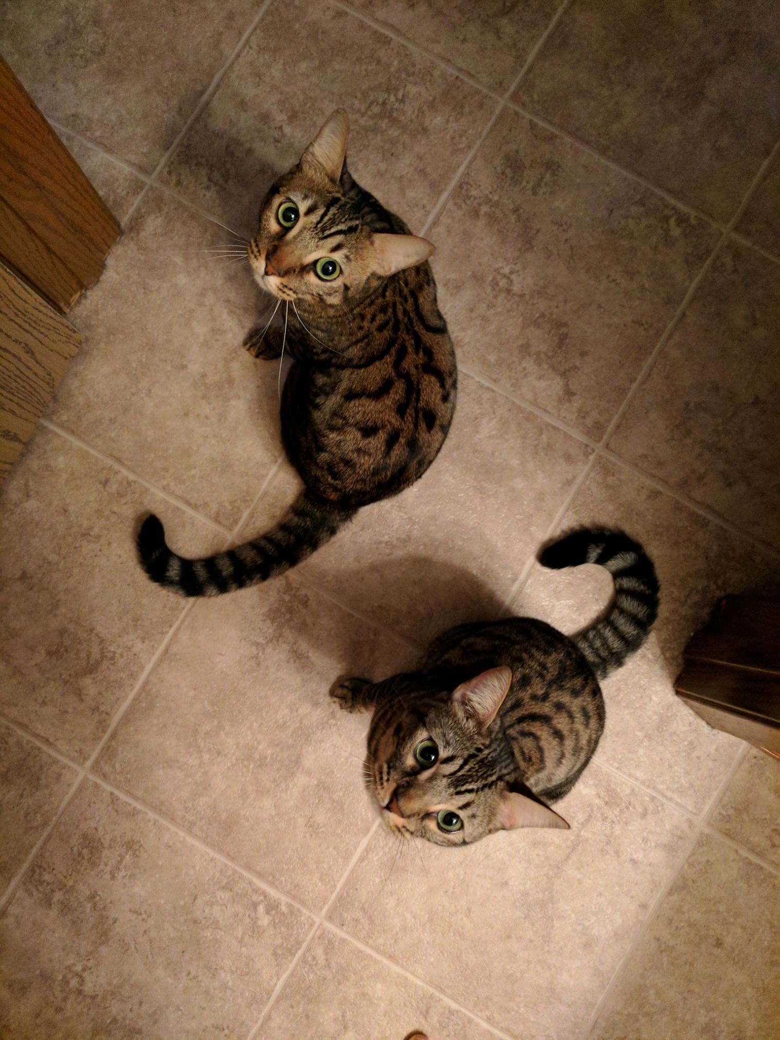 Look Into Our Eyes.