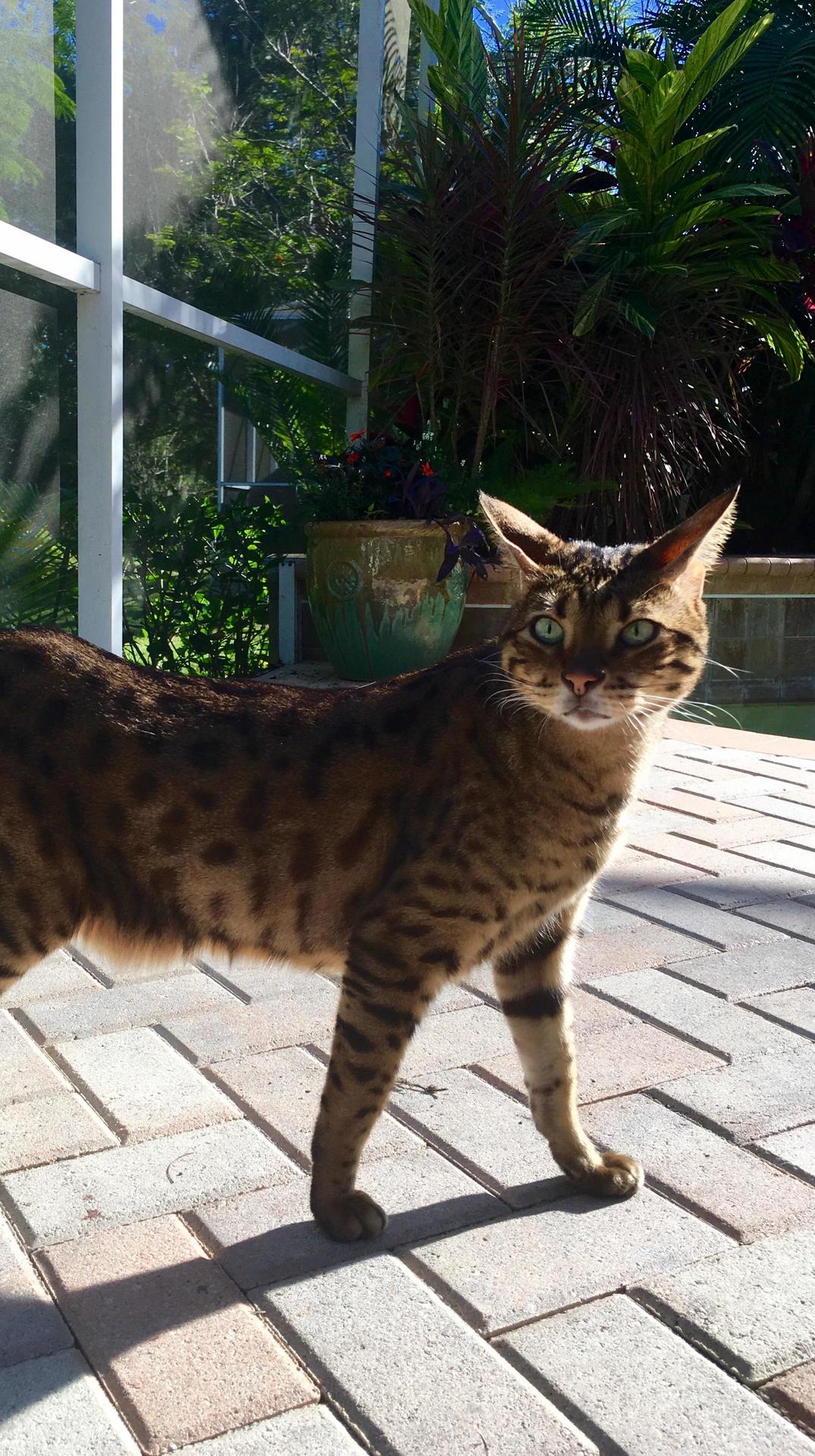 Loving the Outdoors