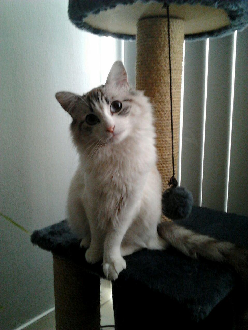 Lunas Modeling Pose