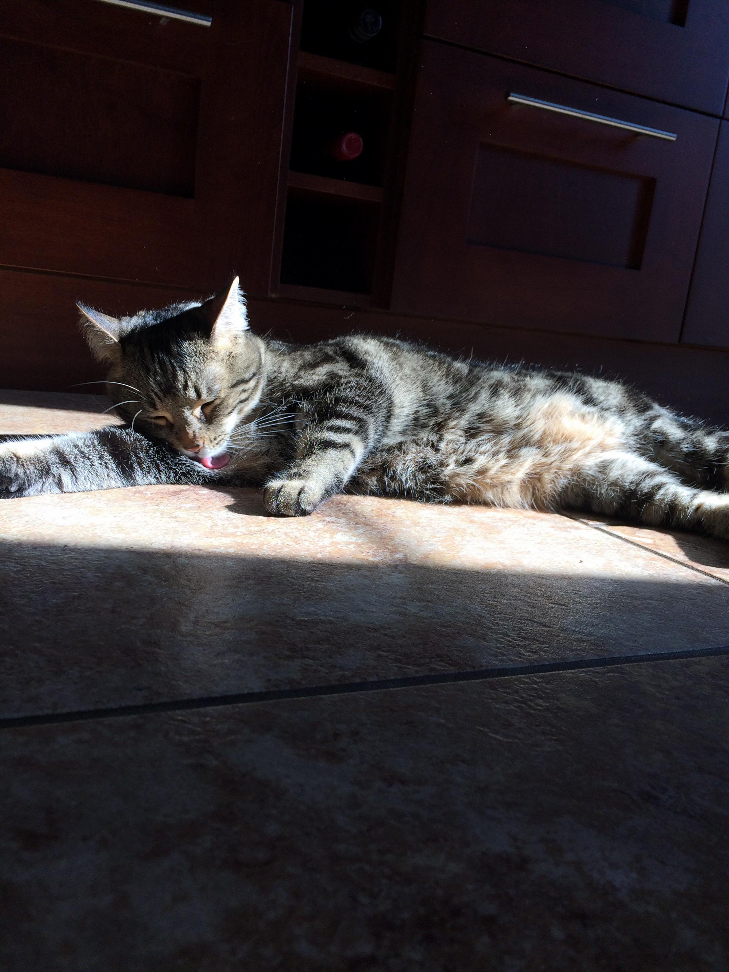 Lying in the Sun