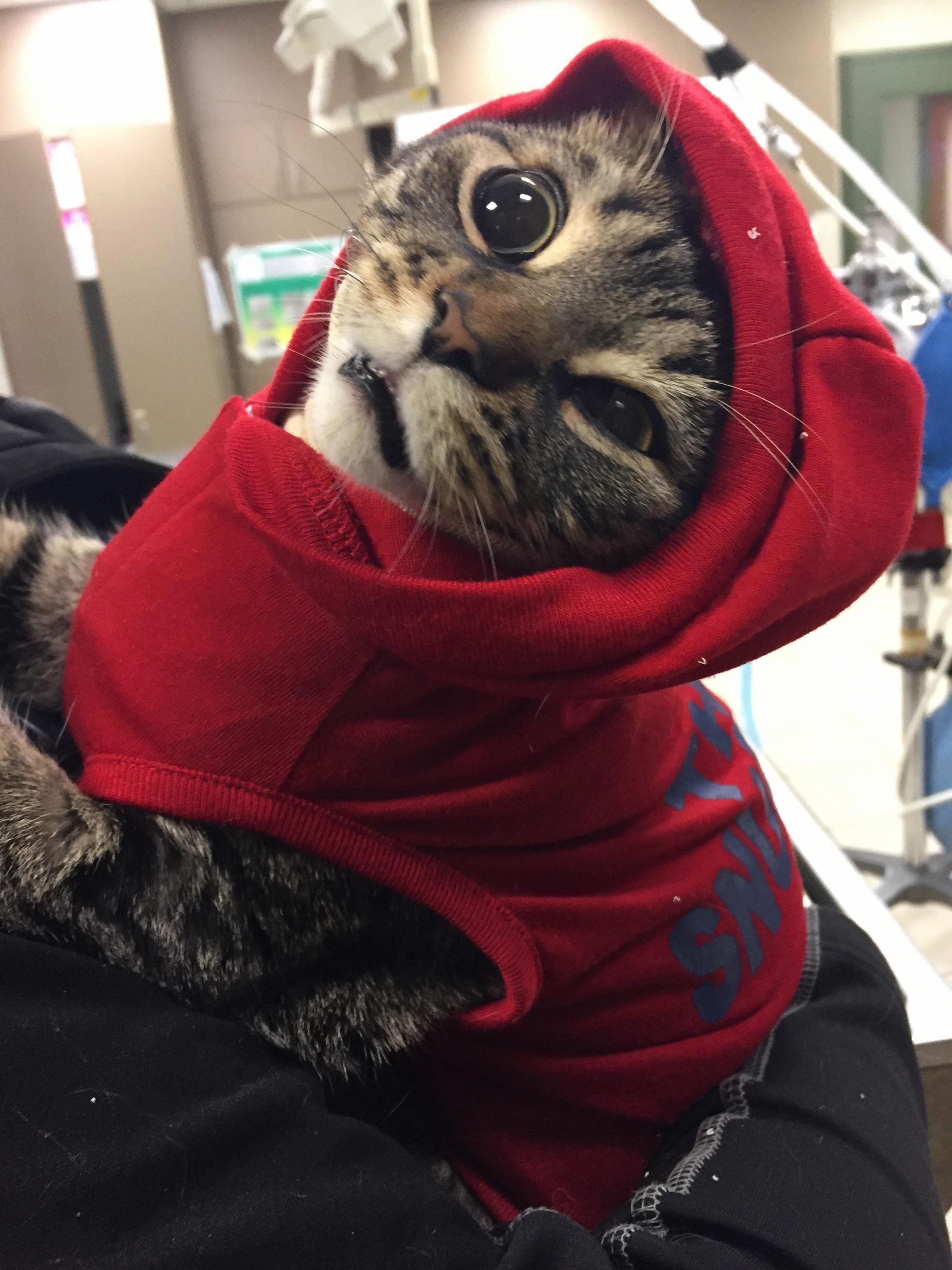 Marvin Post Surgery High