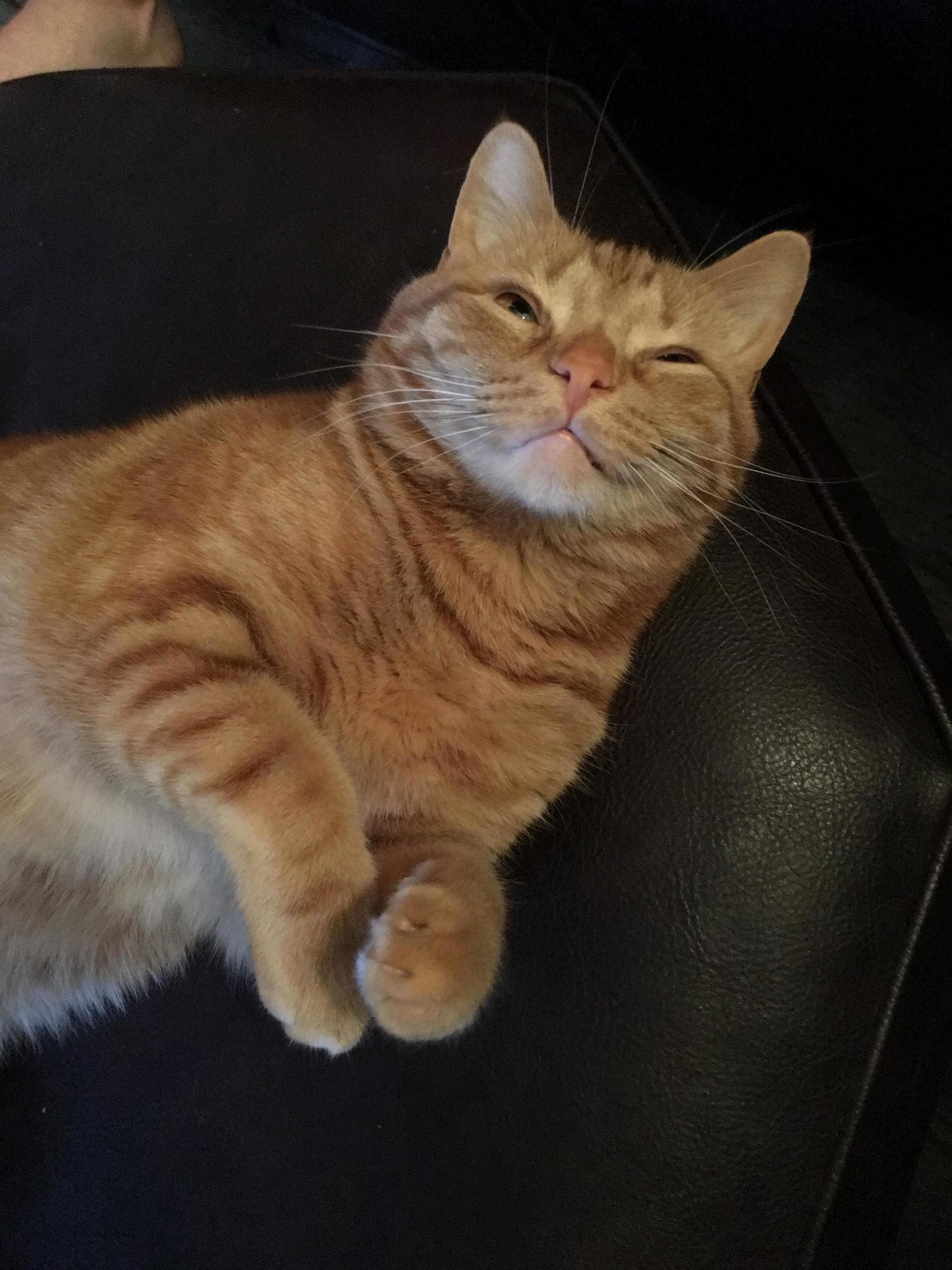 Max Is Trying to Charm Me with His Smile