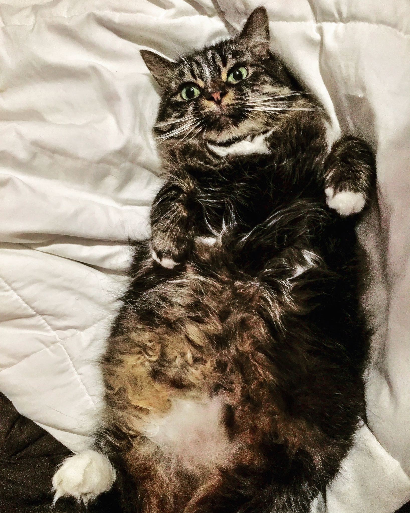 Meet Buffy and Her Tummy.