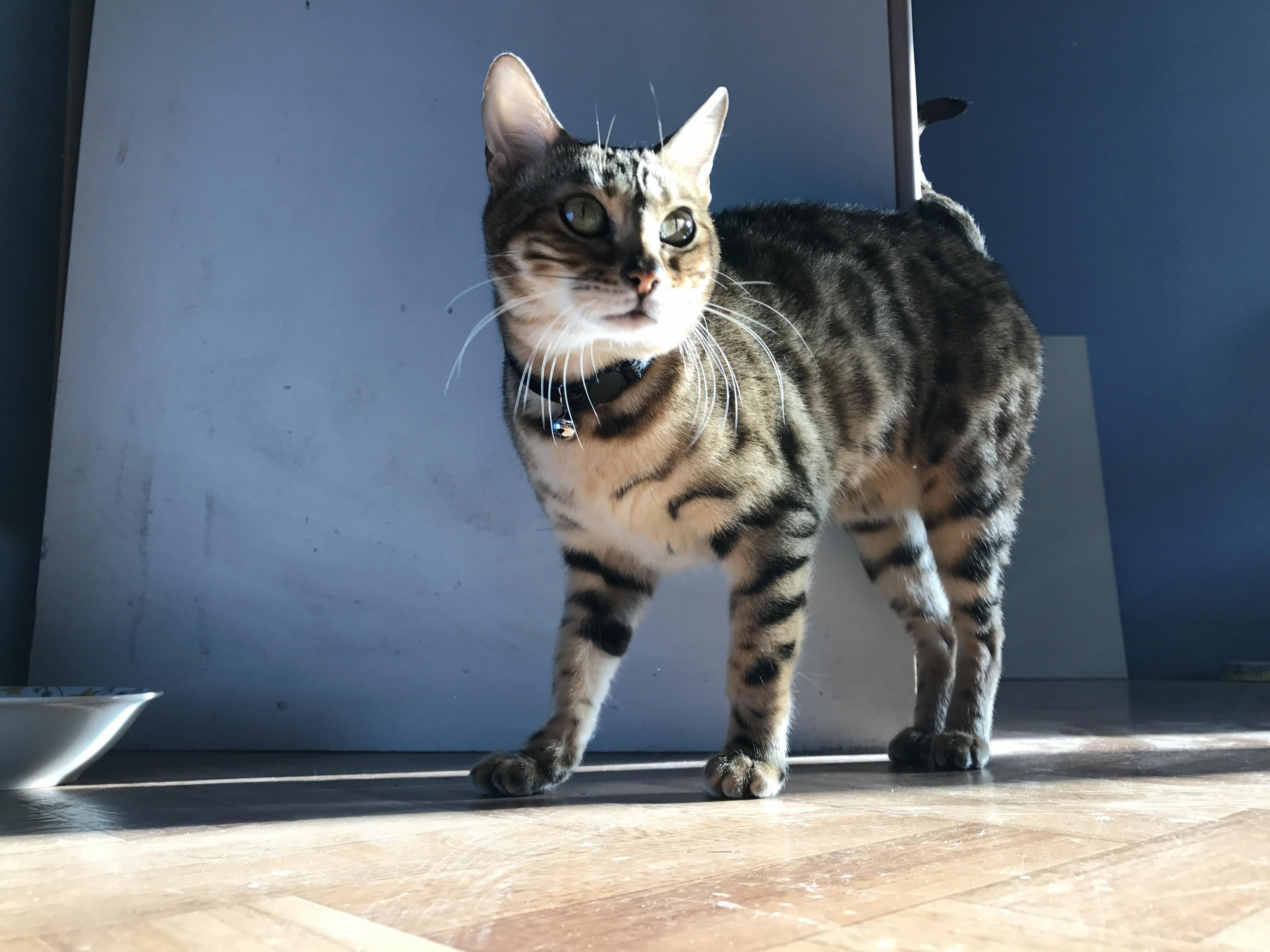 Meet Fiona
