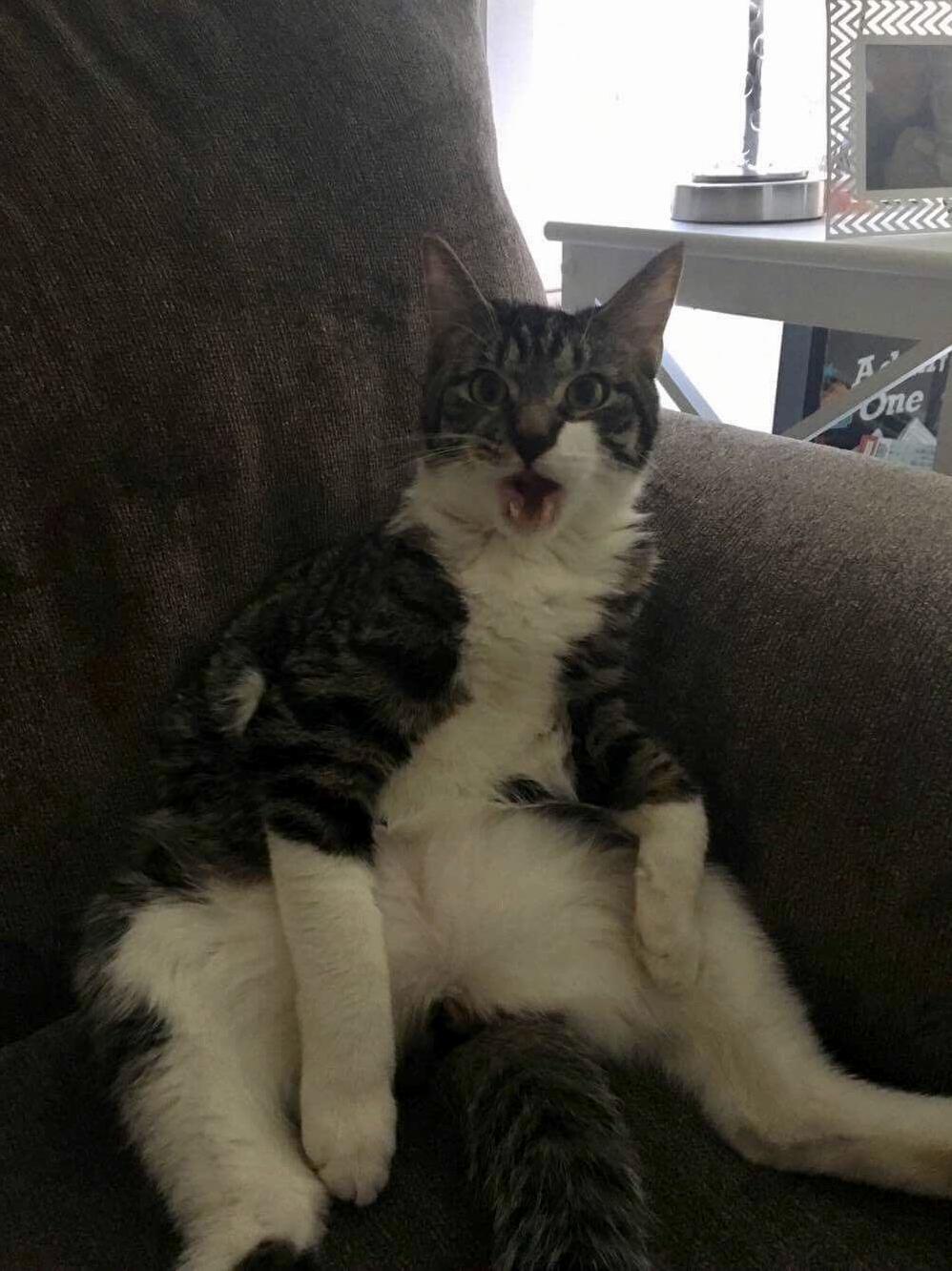 Mfw Someone Changes the Channel While Im Watching