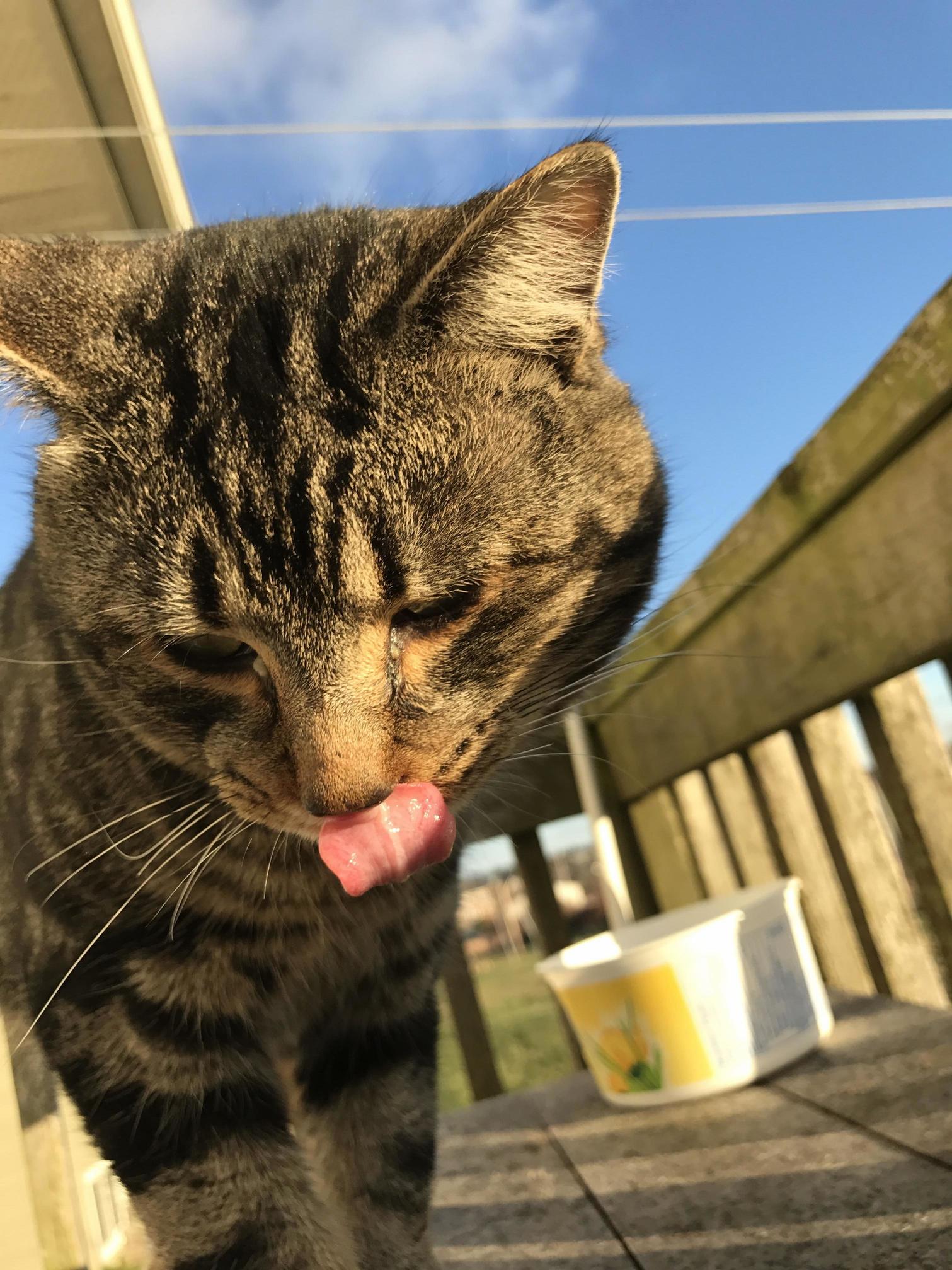 Mlem