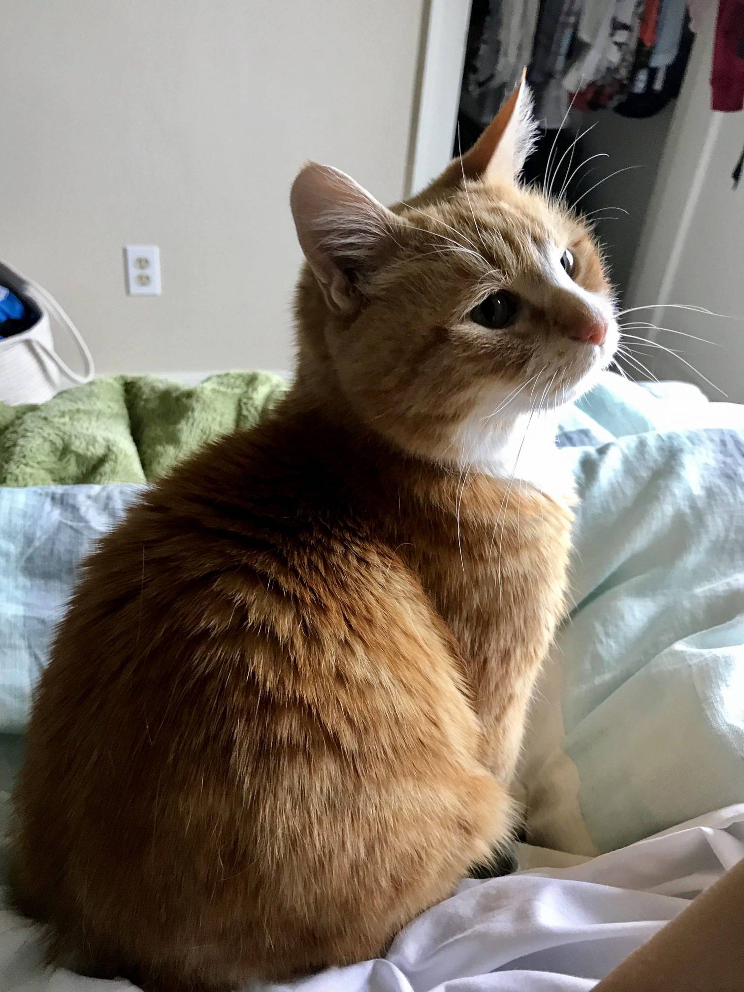 Morning Pose