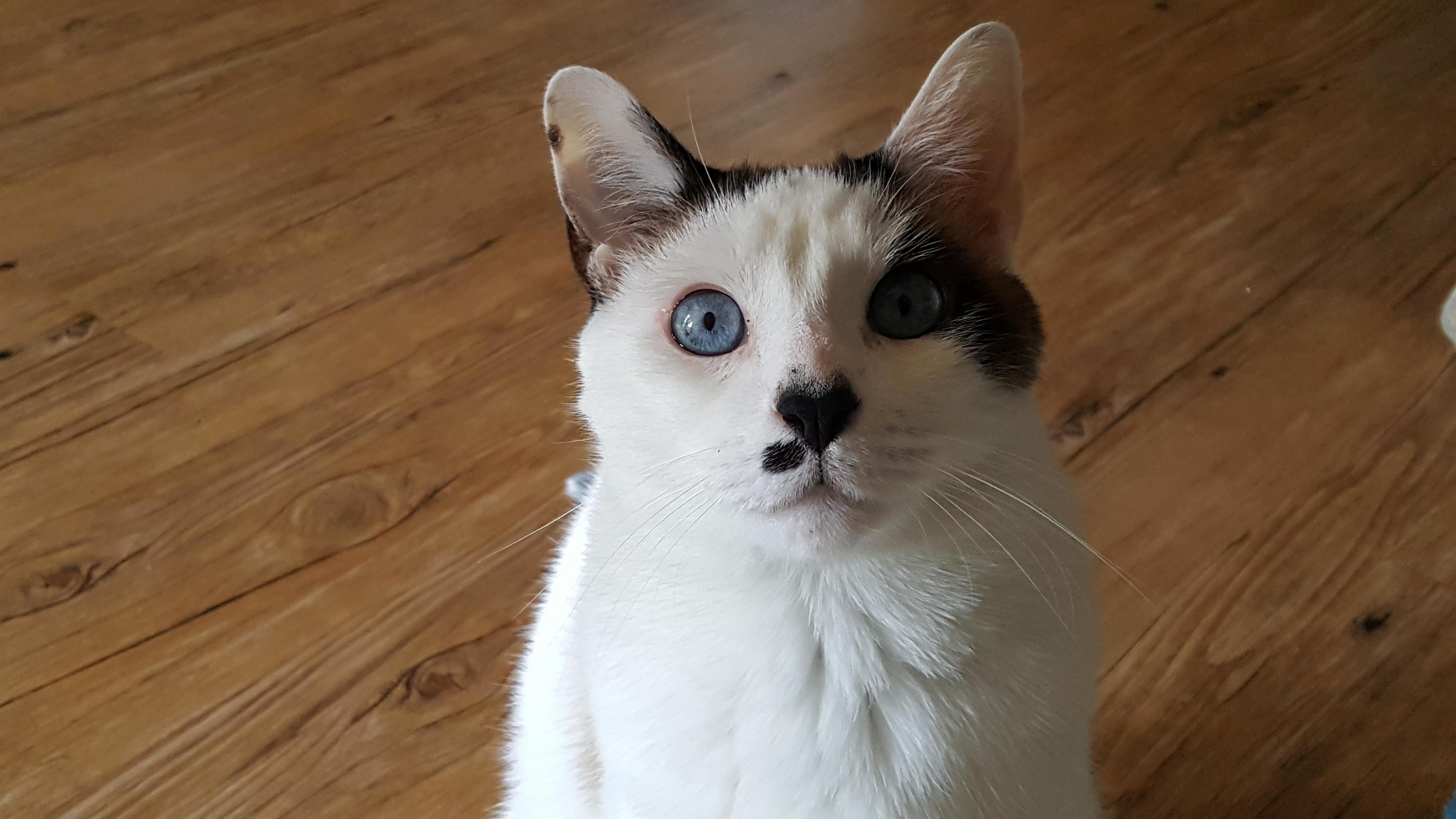 My 8 Year Old Best Friend