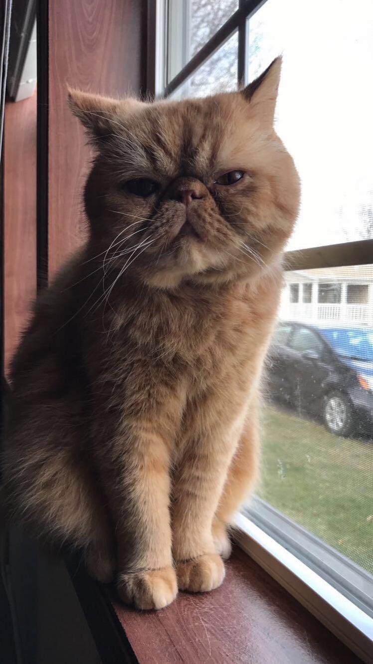 My Baby Simon Is Turning 7