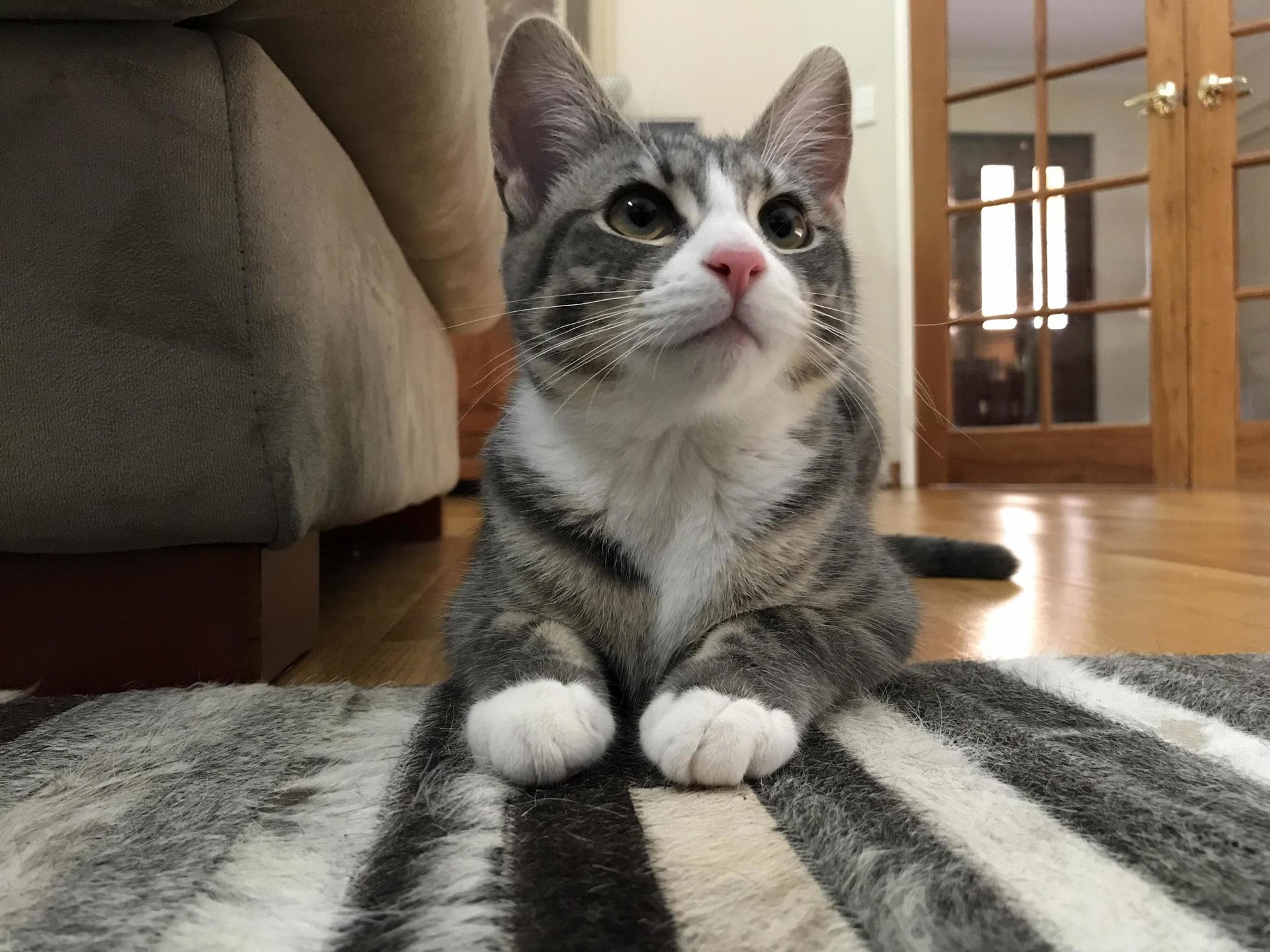 My Beautiful Girl Luna Is So Tiny and Delicate