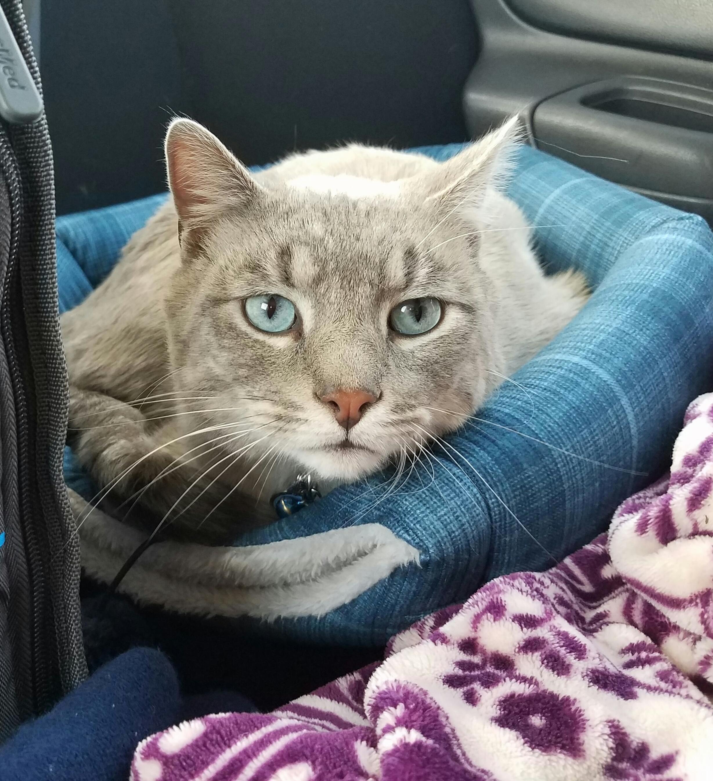 My Blue Eyed Boy.