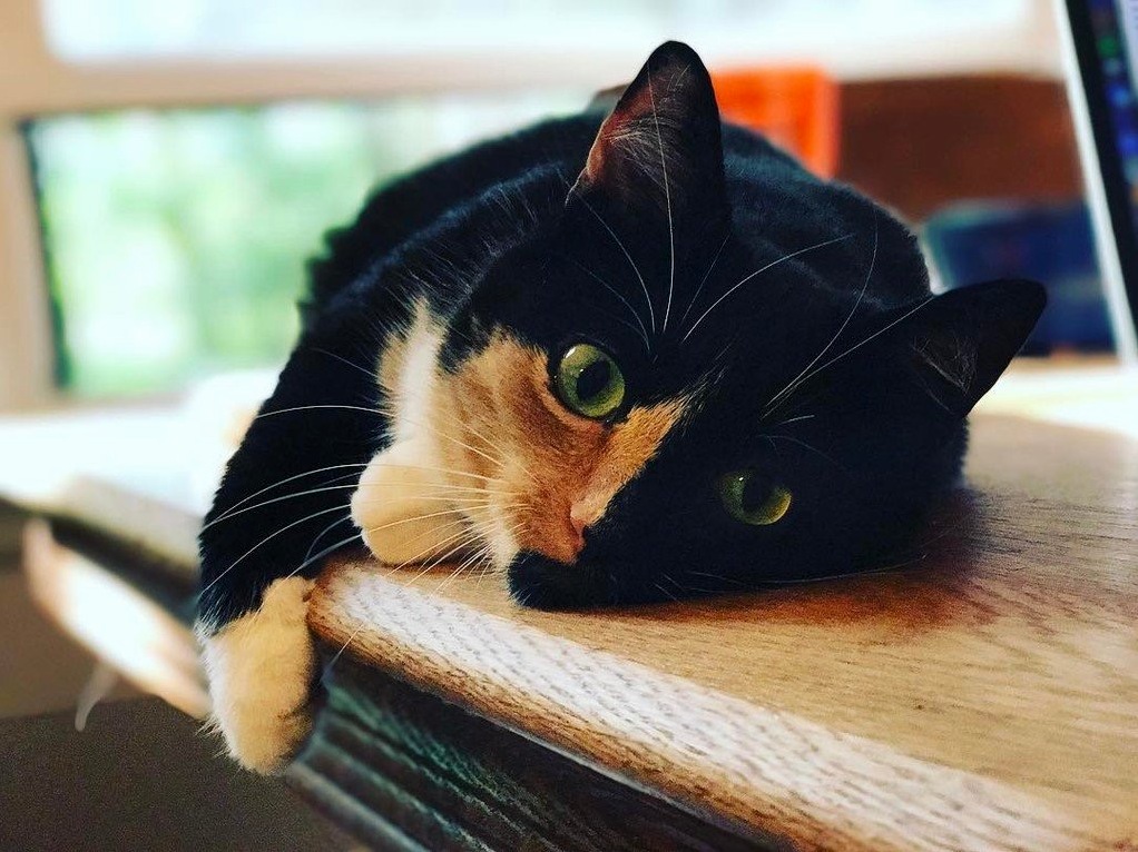 My Co-worker Today