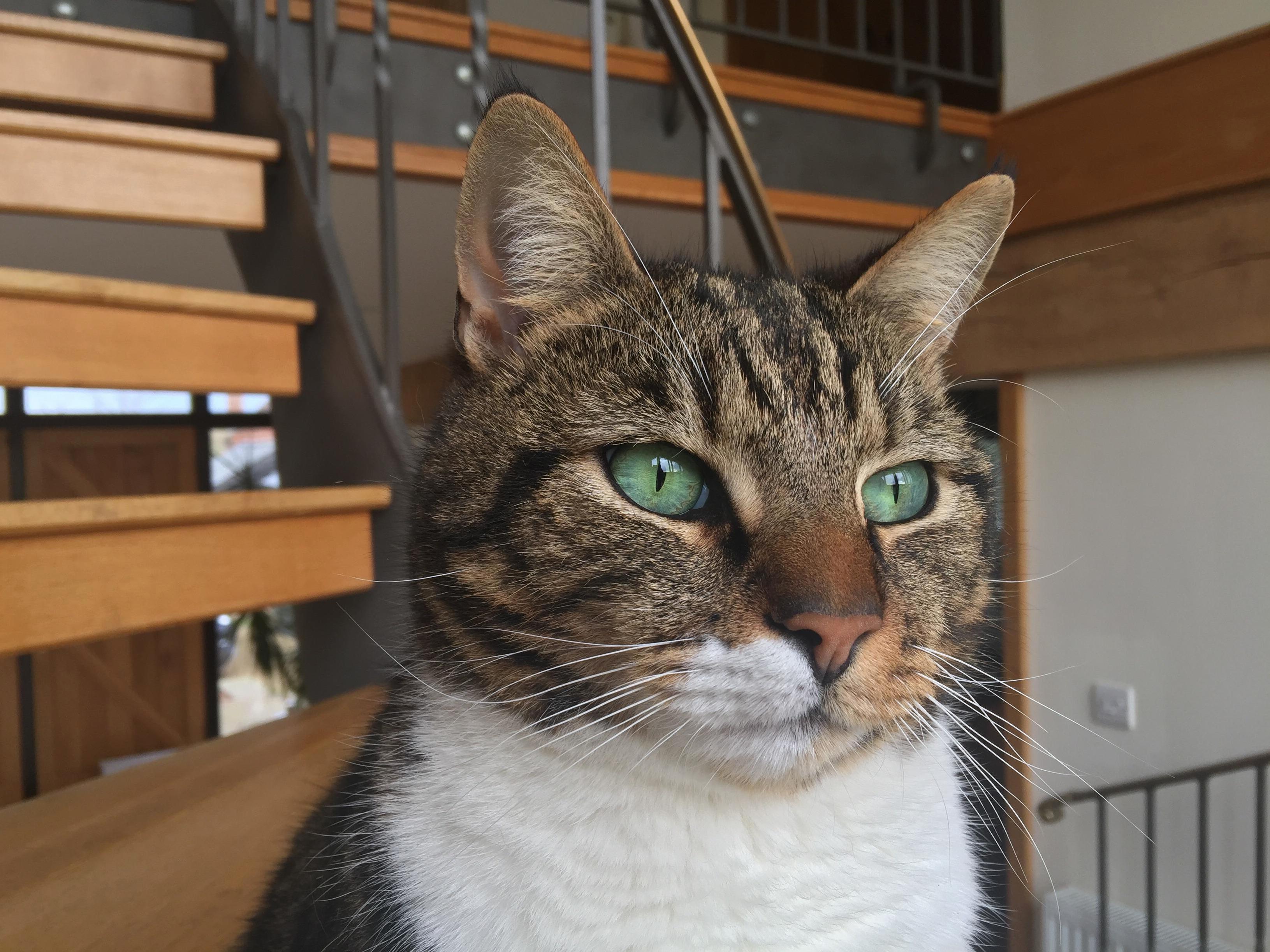My Handsome Boy.