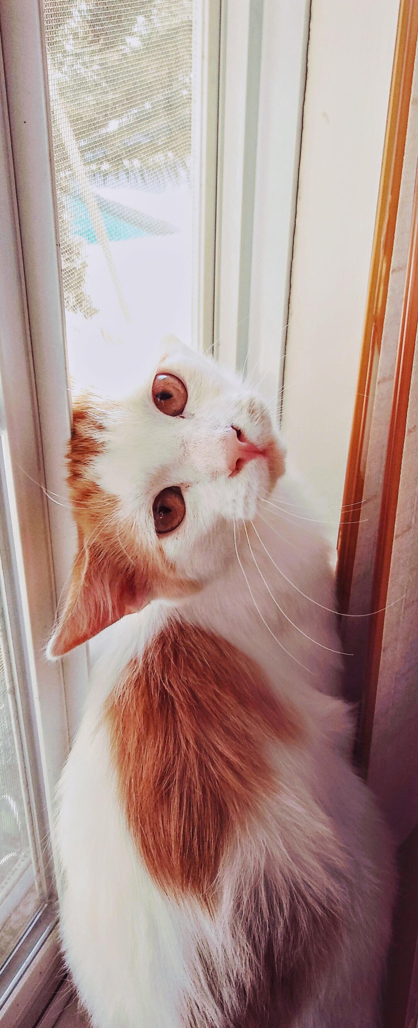 My Little Boy Max