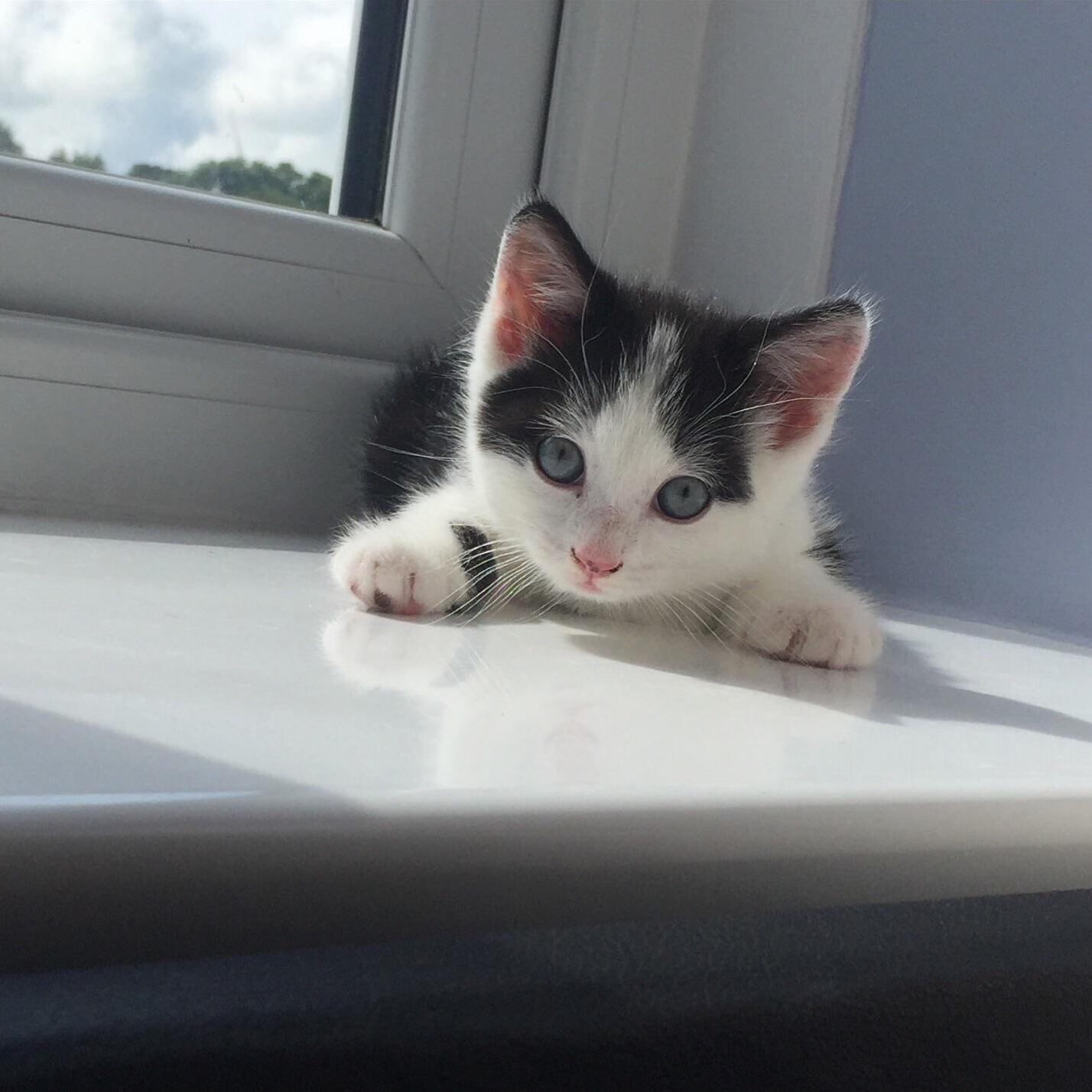 My Little Stunner Mia