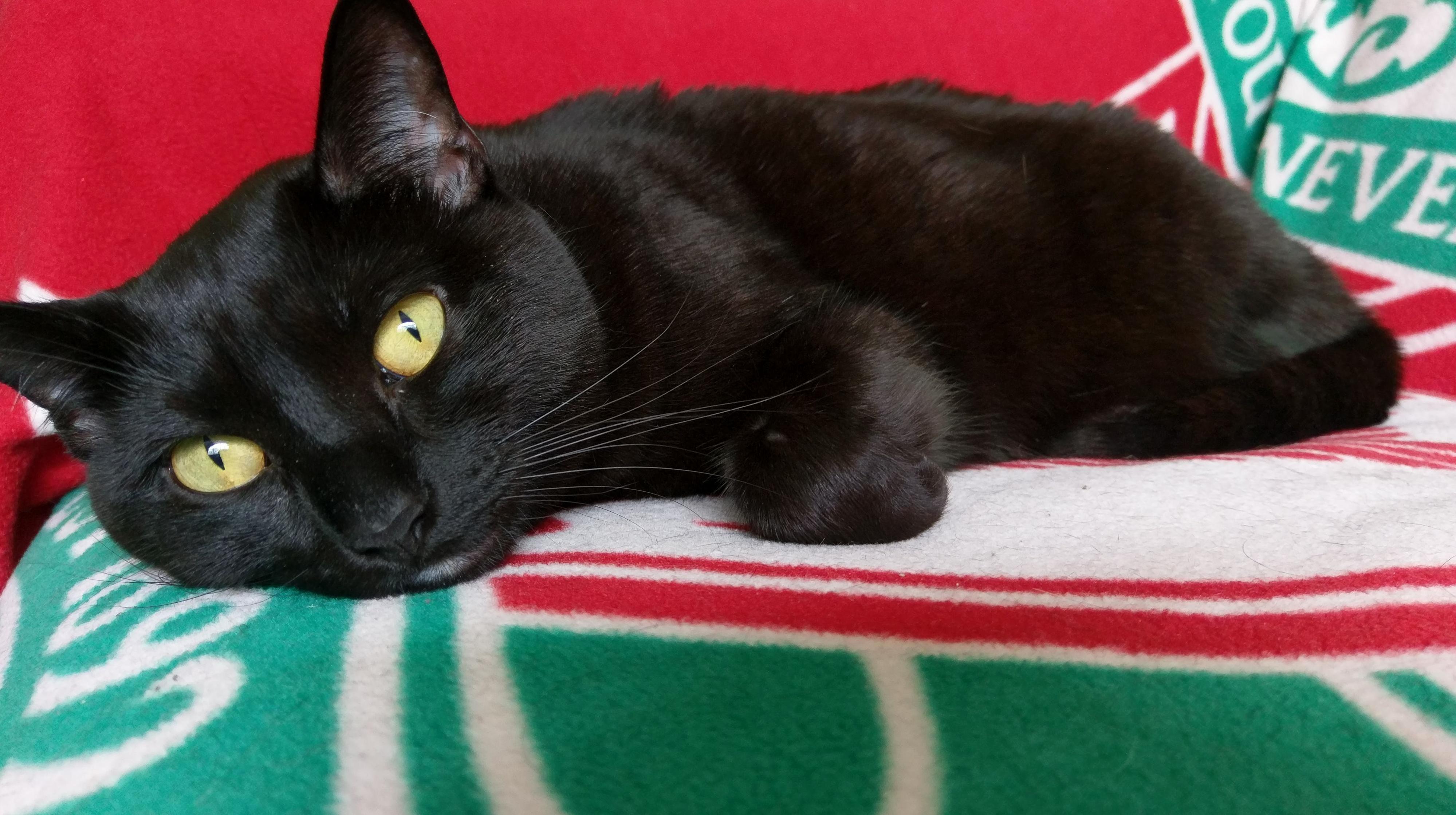 My Little Sweetie.