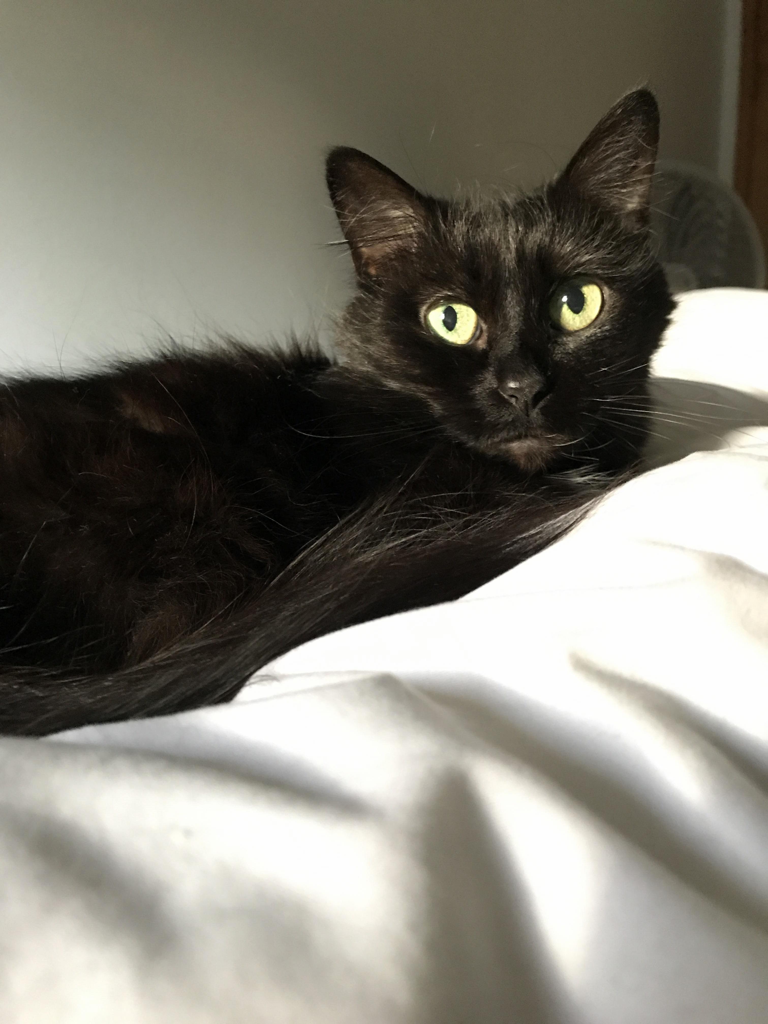 My Old Girl Has Some Pretty Big Eyes.