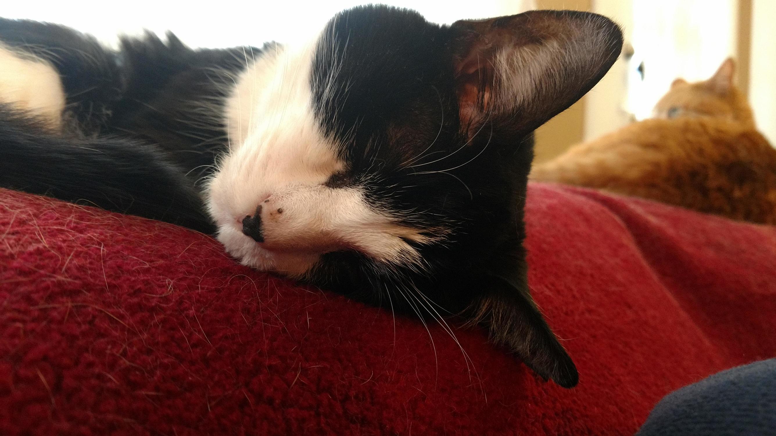 My Old Man Is So Tired...