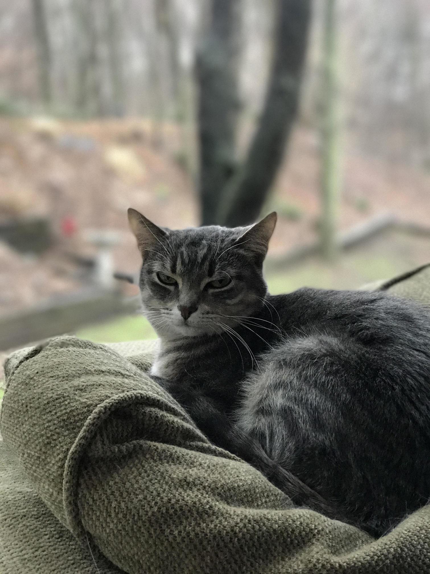 My Parents Princess Valerie Is Not Pleased with My Presence.