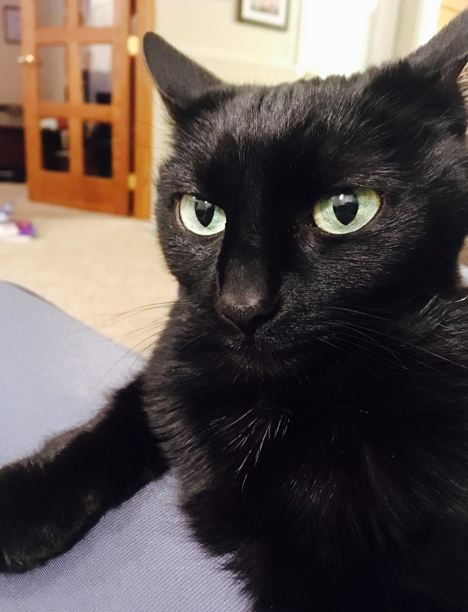 My Pretty Girl Autumn