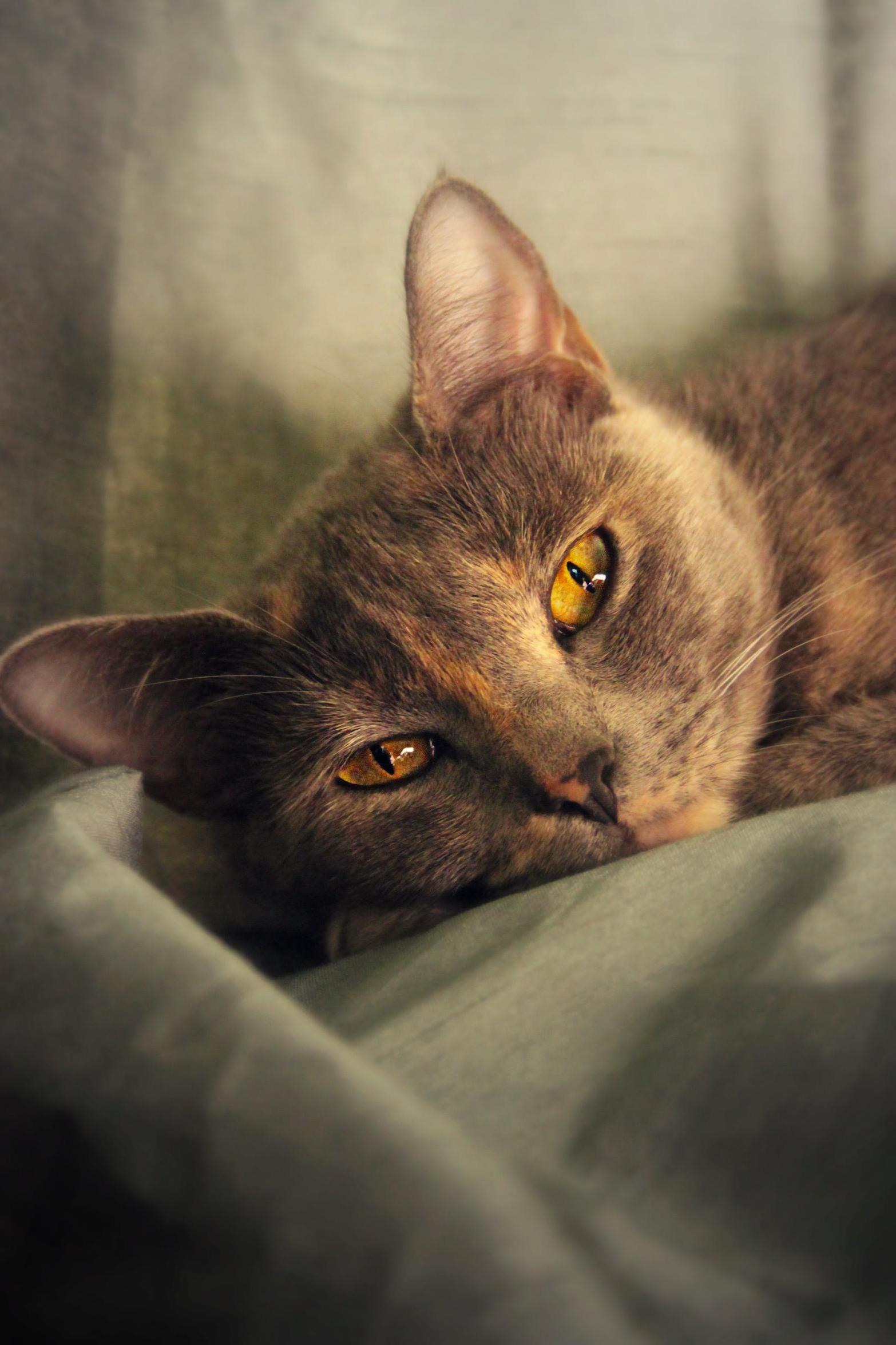 My Pretty Sweet Girl