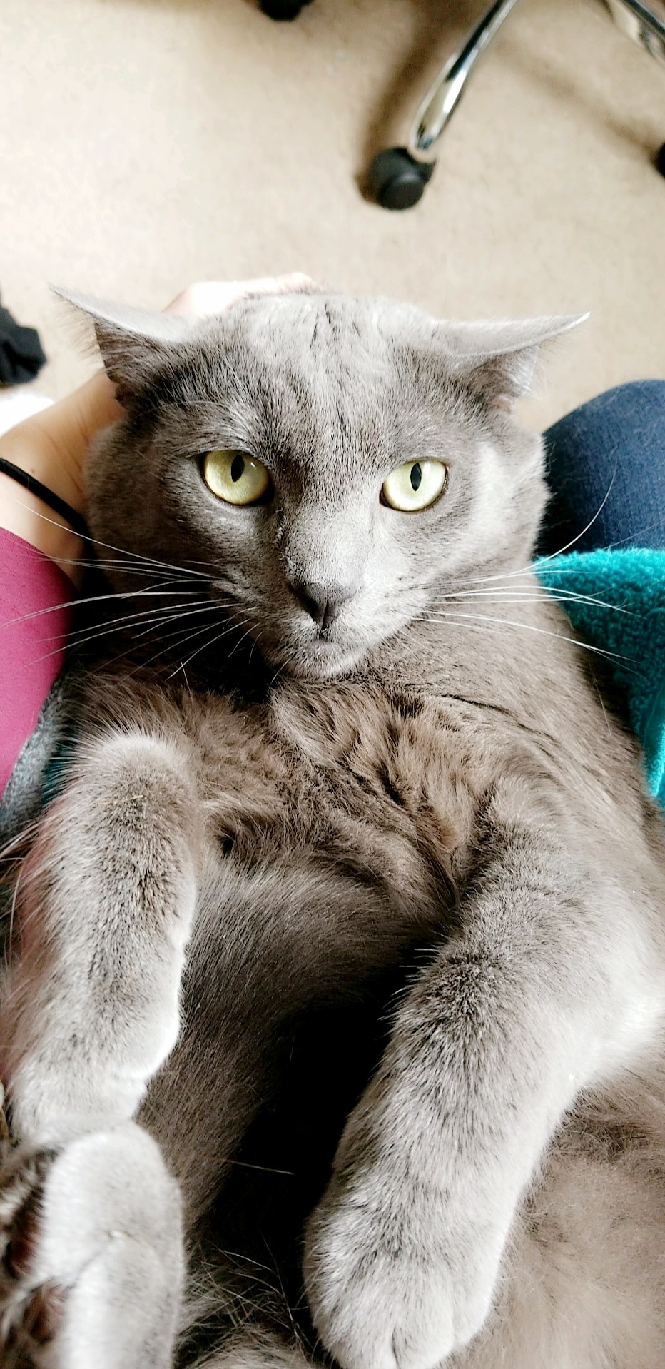 Nail Trimming Time