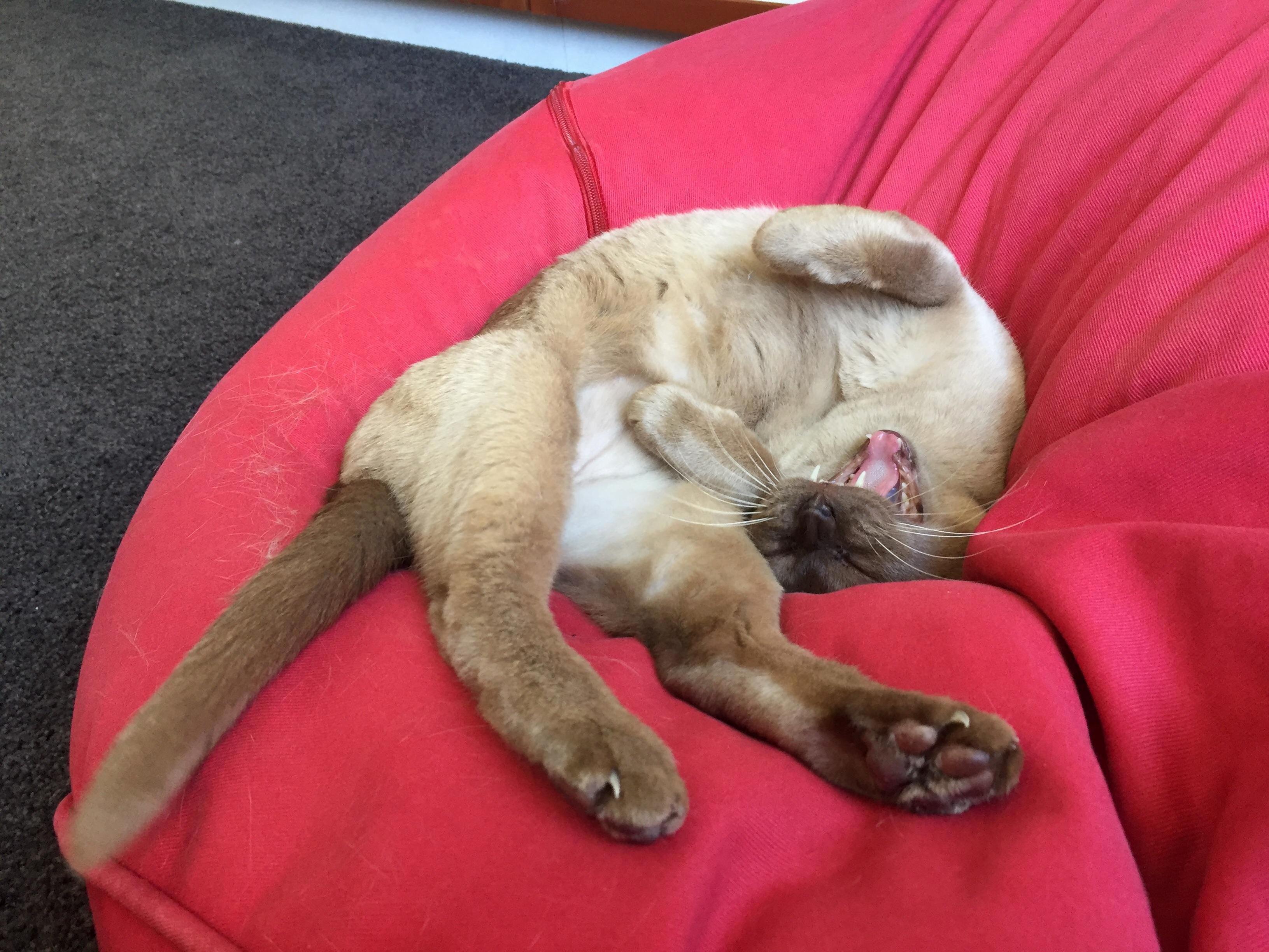 Nap Time Is Always So Difficult