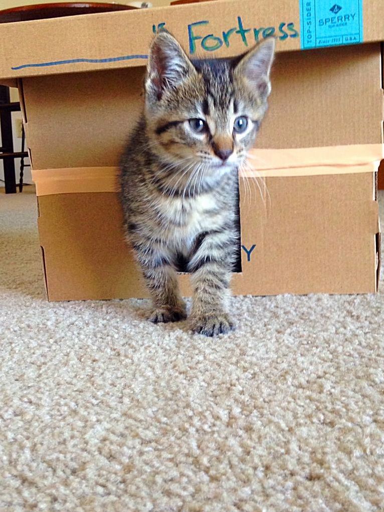 No Name and Her Fortress.