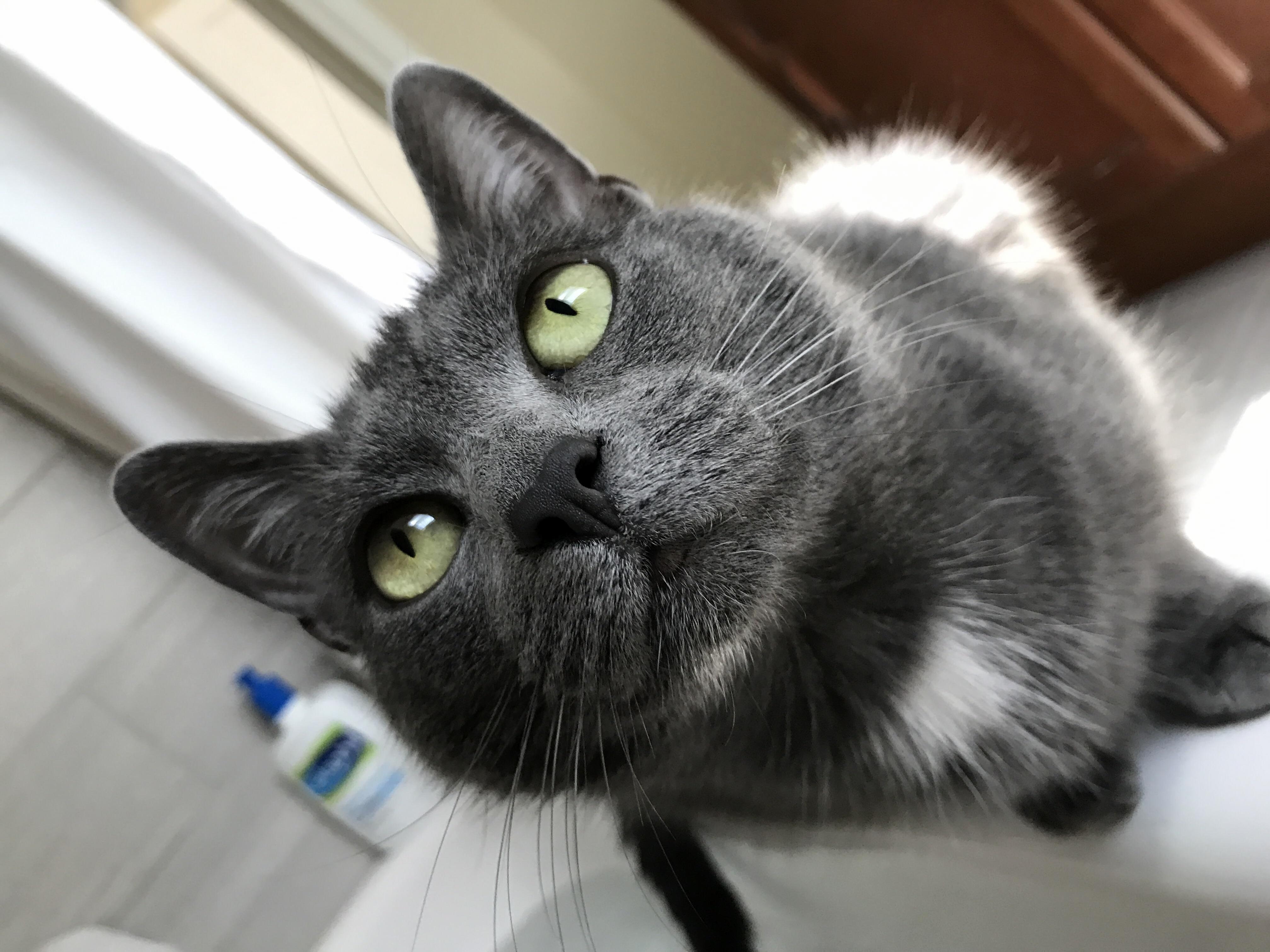 Oh Hello There
