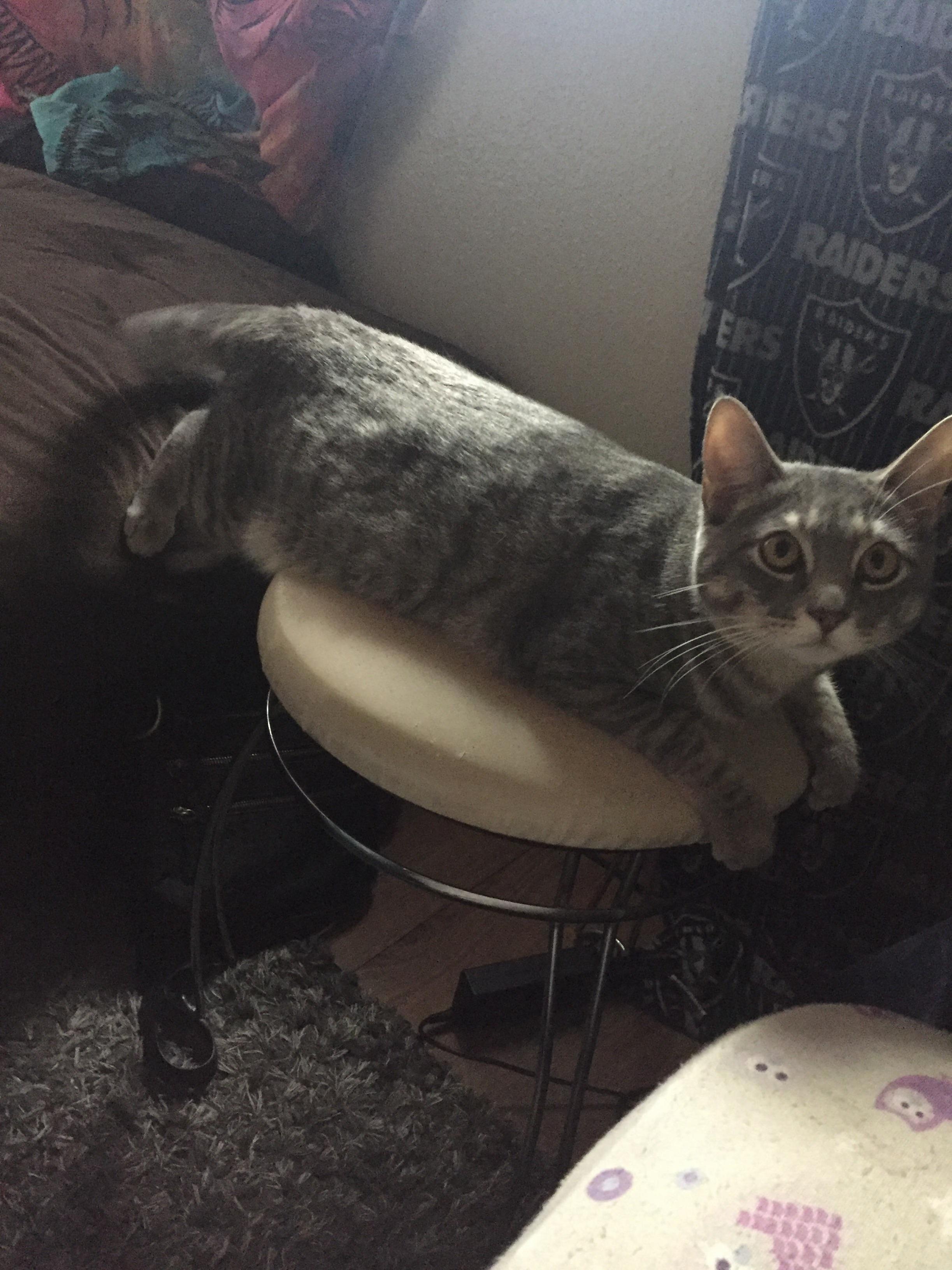 One Sitting Object Is Not Enough