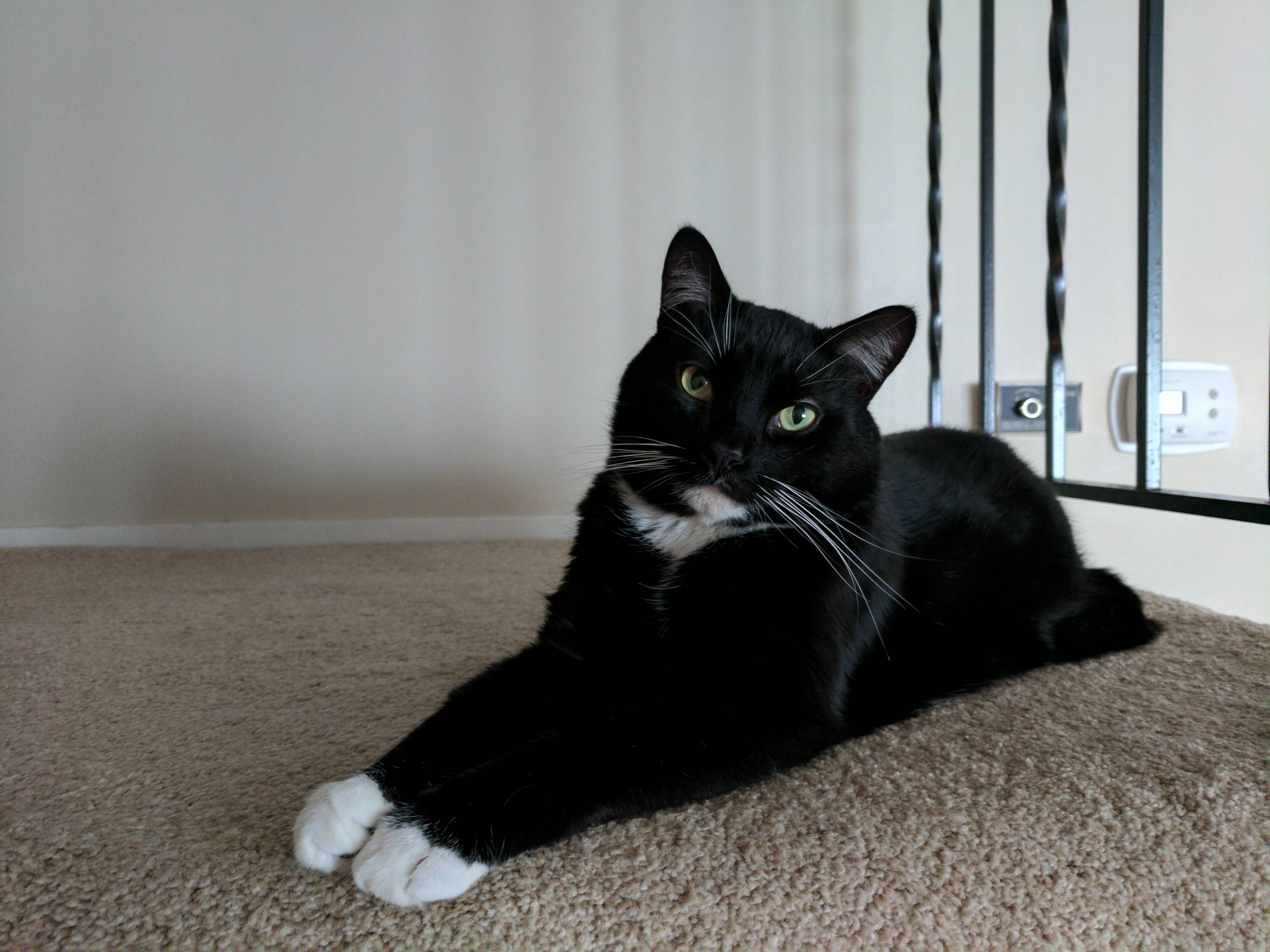 Our Always Baby Shadow