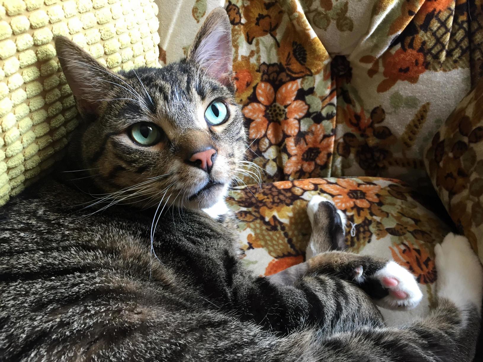 Our Handsome Little Man