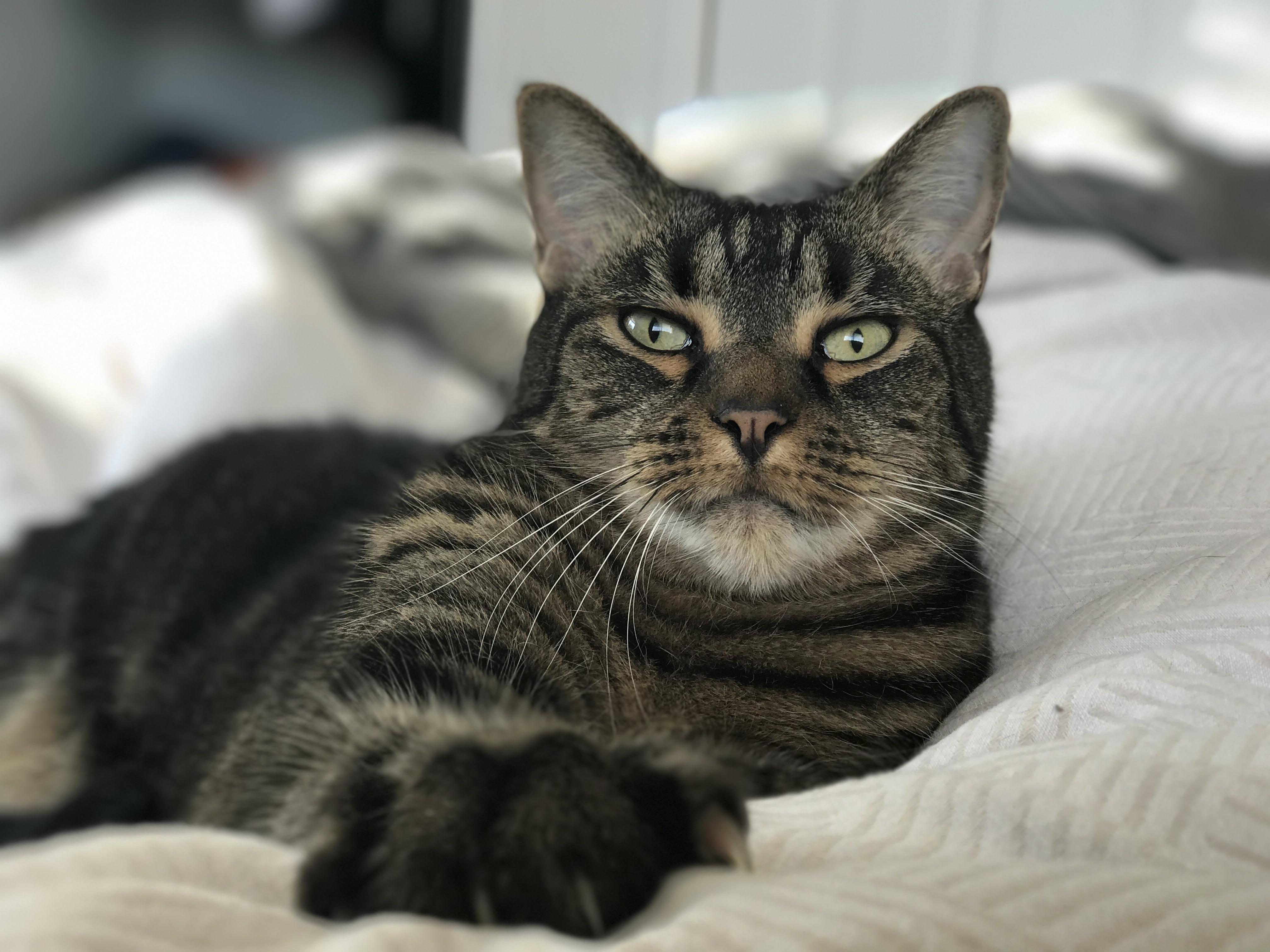 Paint Me Like Your French Women...